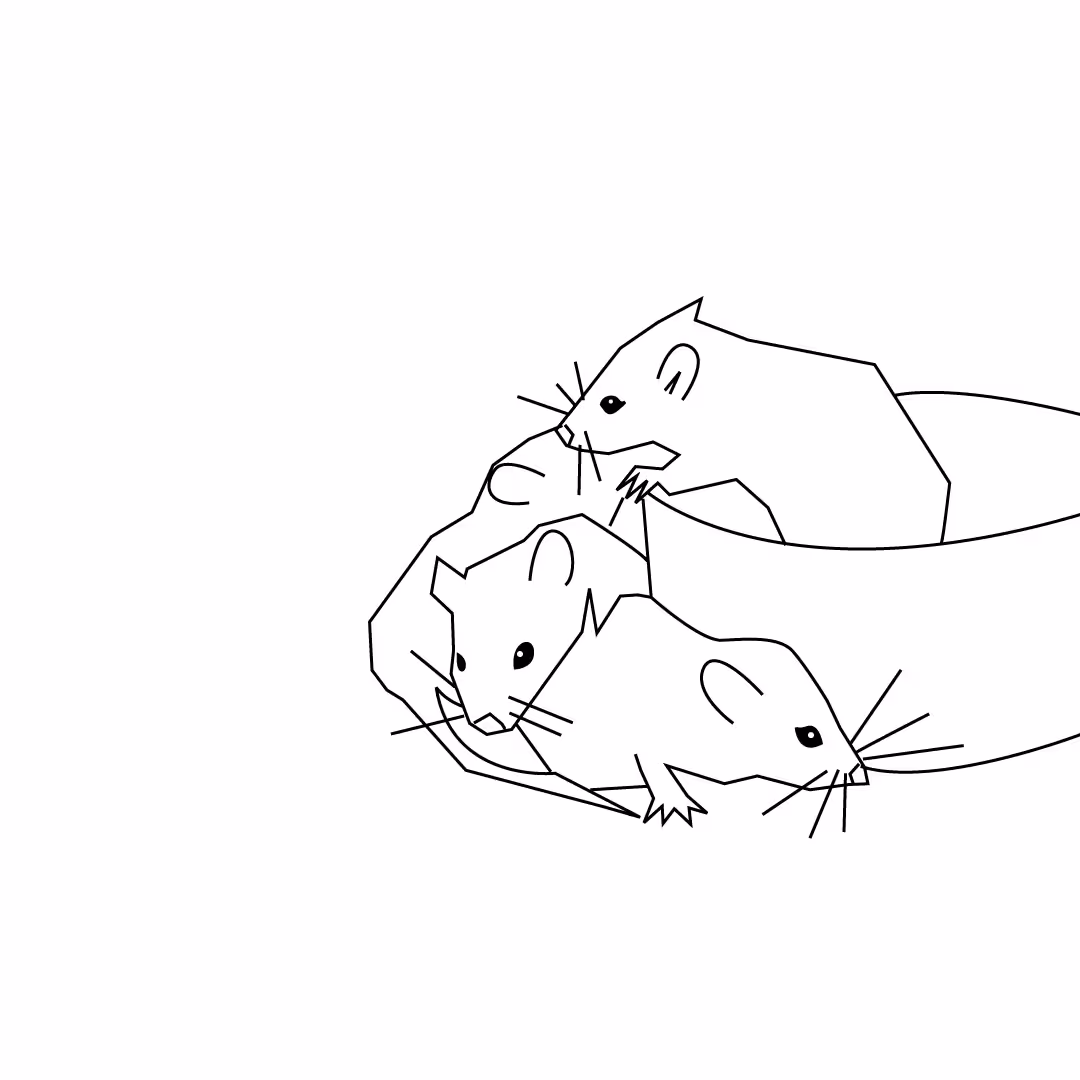 ratarts 2 