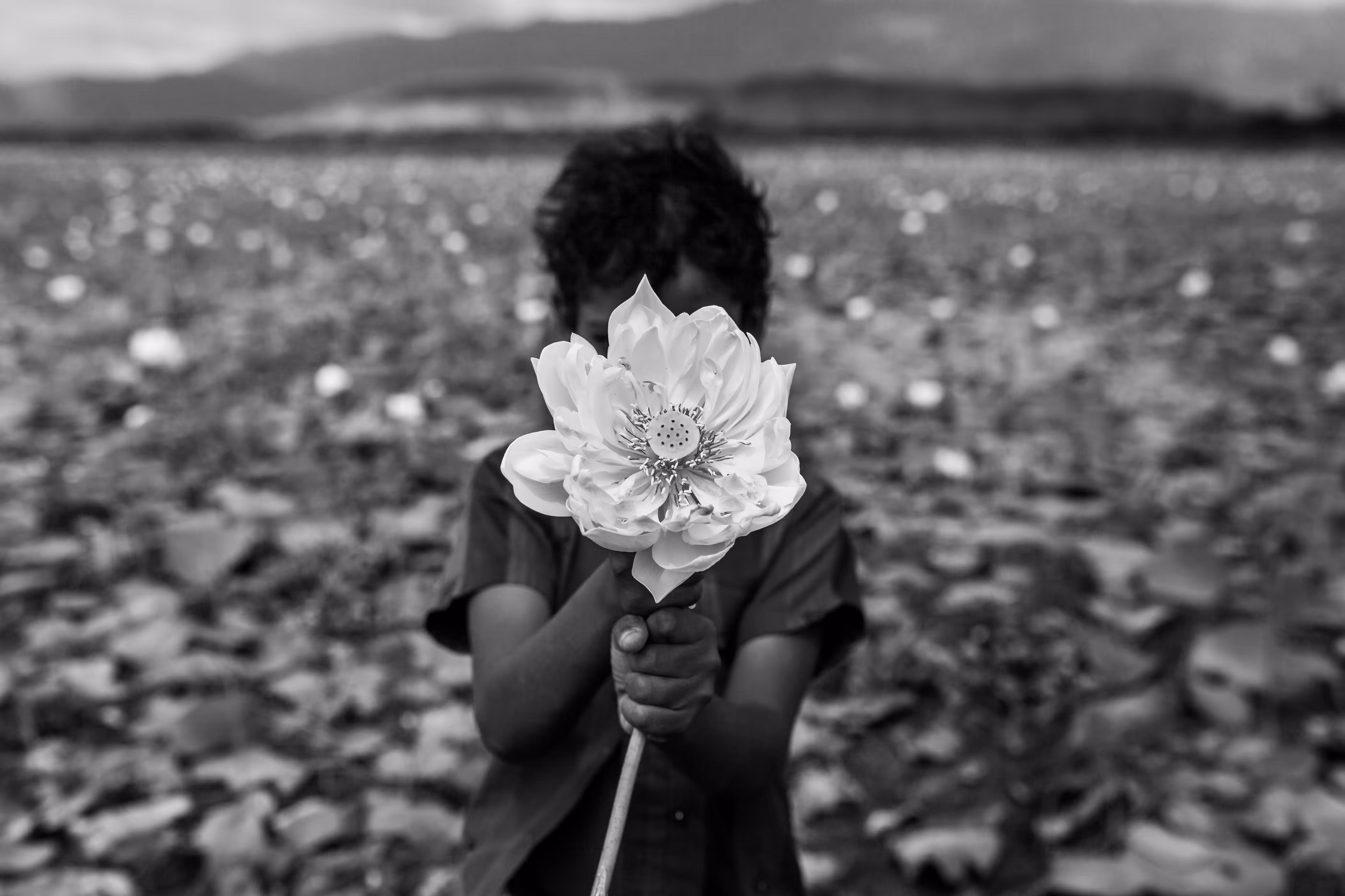 Bloom of Innocence