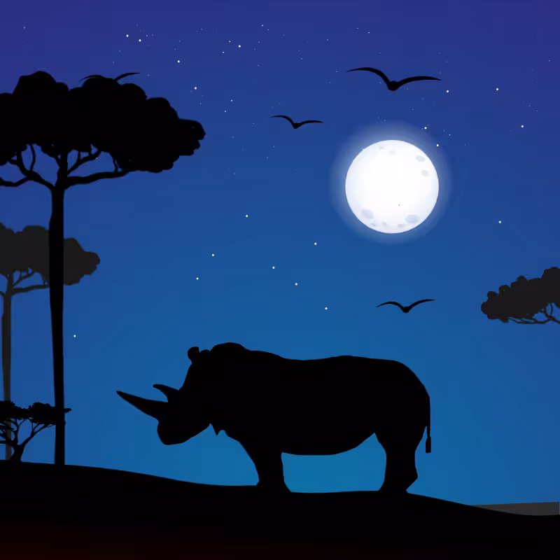 We Care...Rhinoceros #2