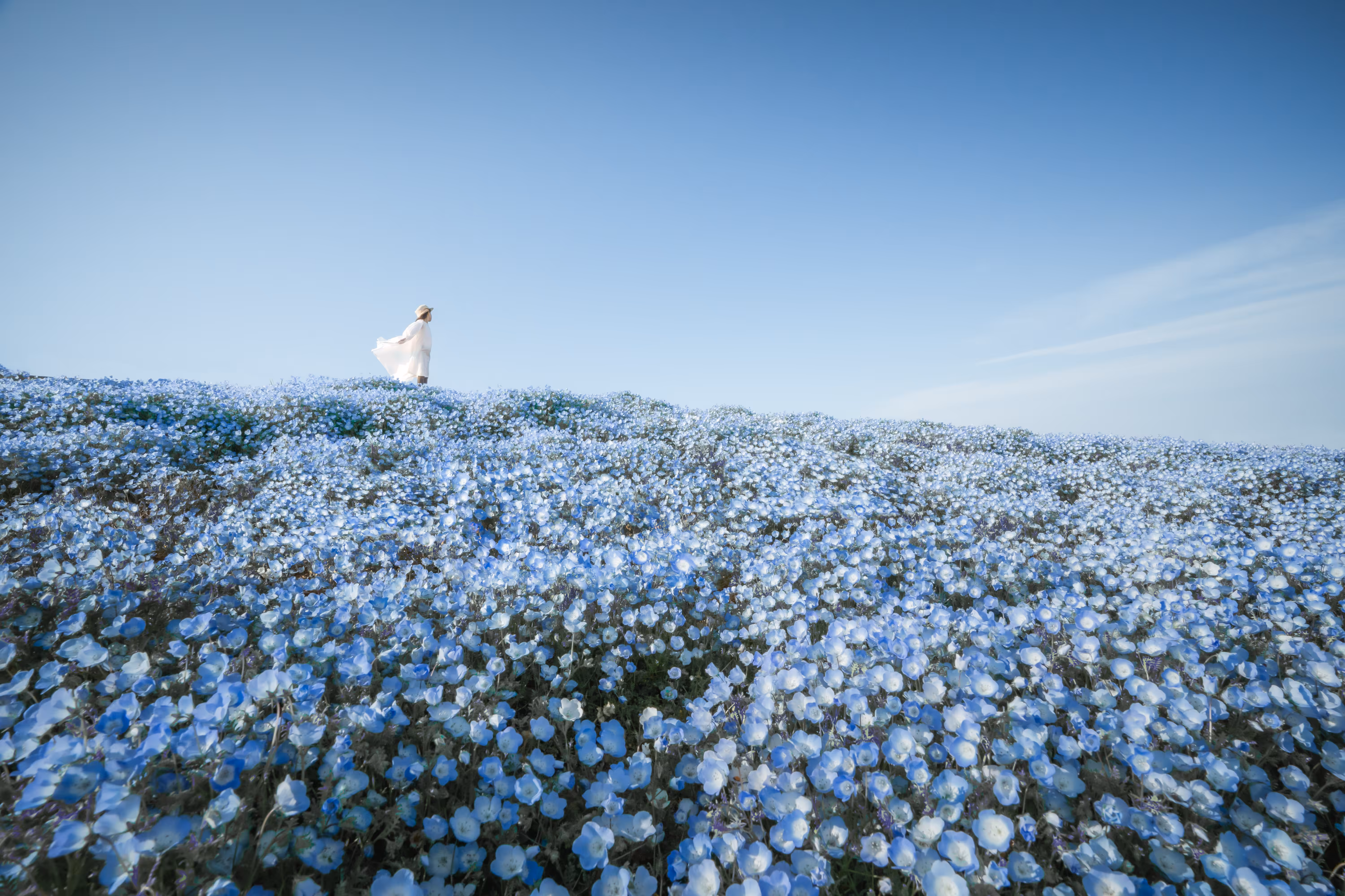 A bright blue world