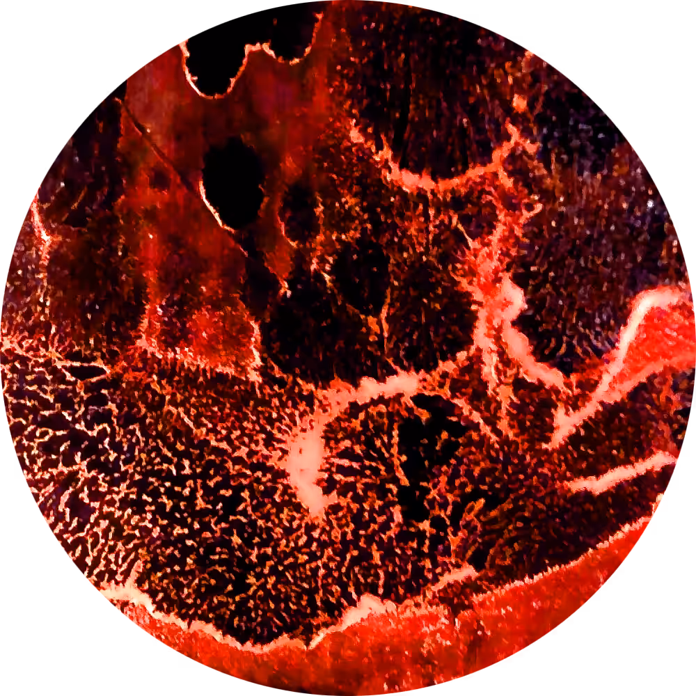 Fly Red Moon with Balloons