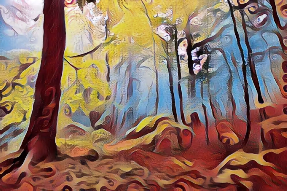 No.2 Walking The old Forrest