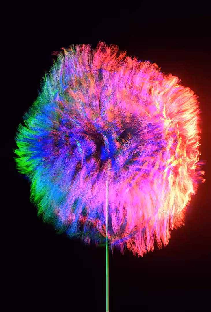 Dandelion Dance #2