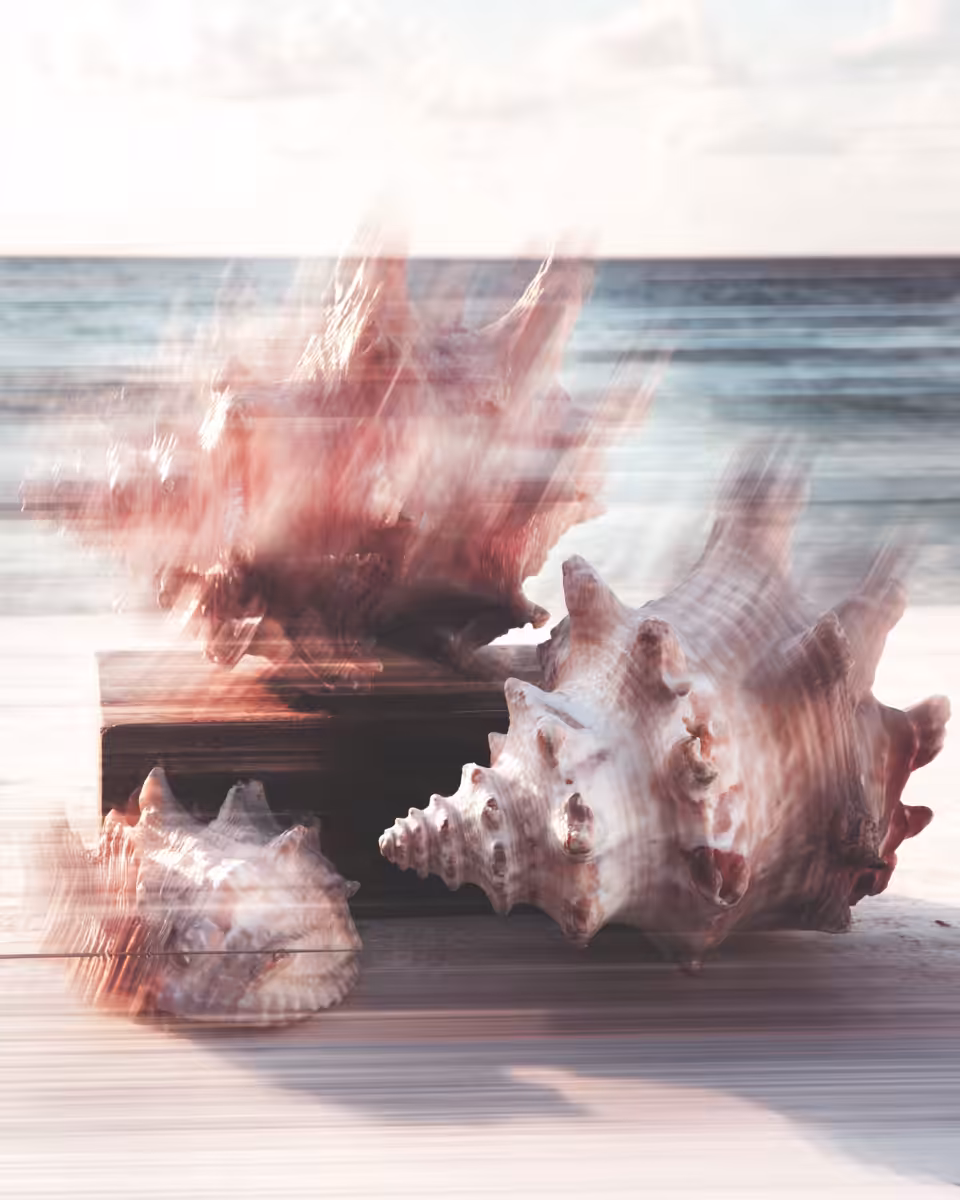 Fading Echoes #05