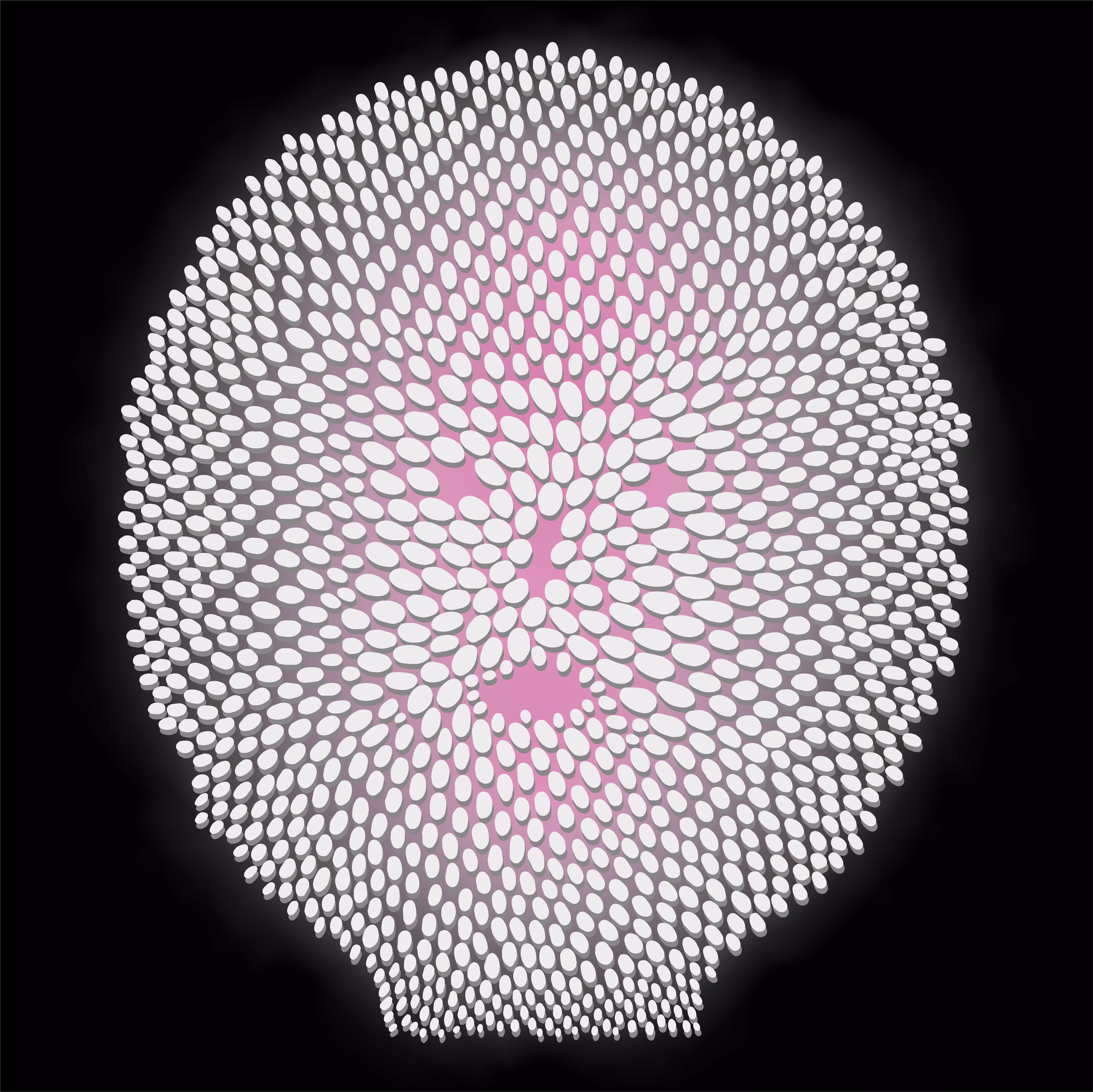 SENSATION 004