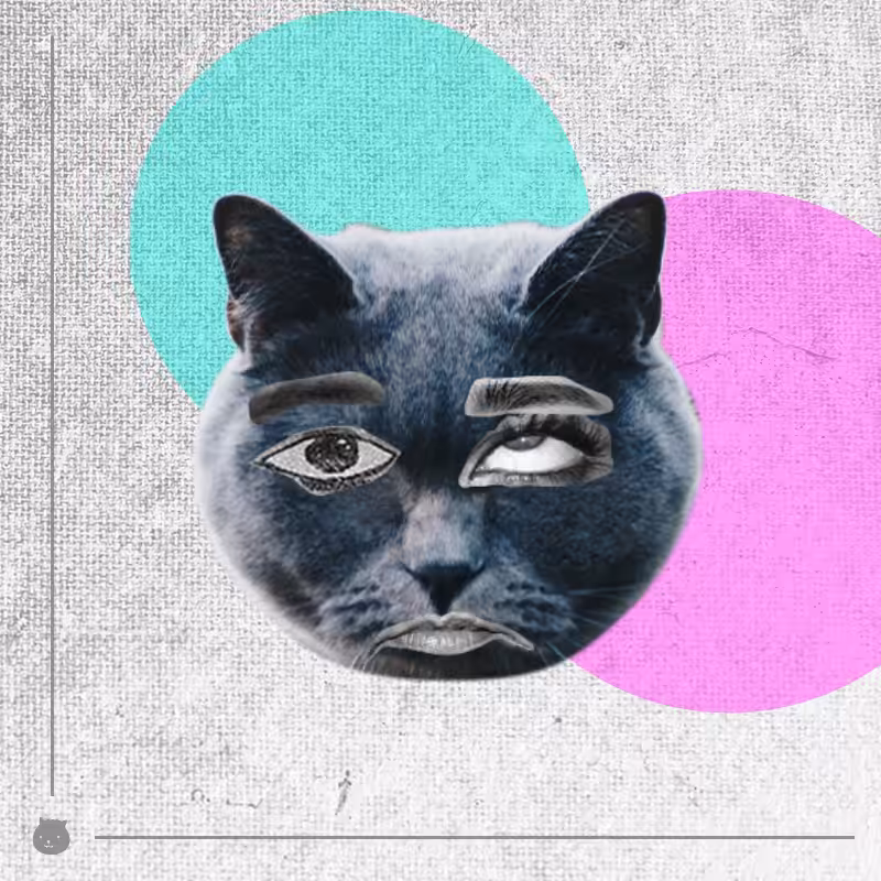 Kittenstein #12
