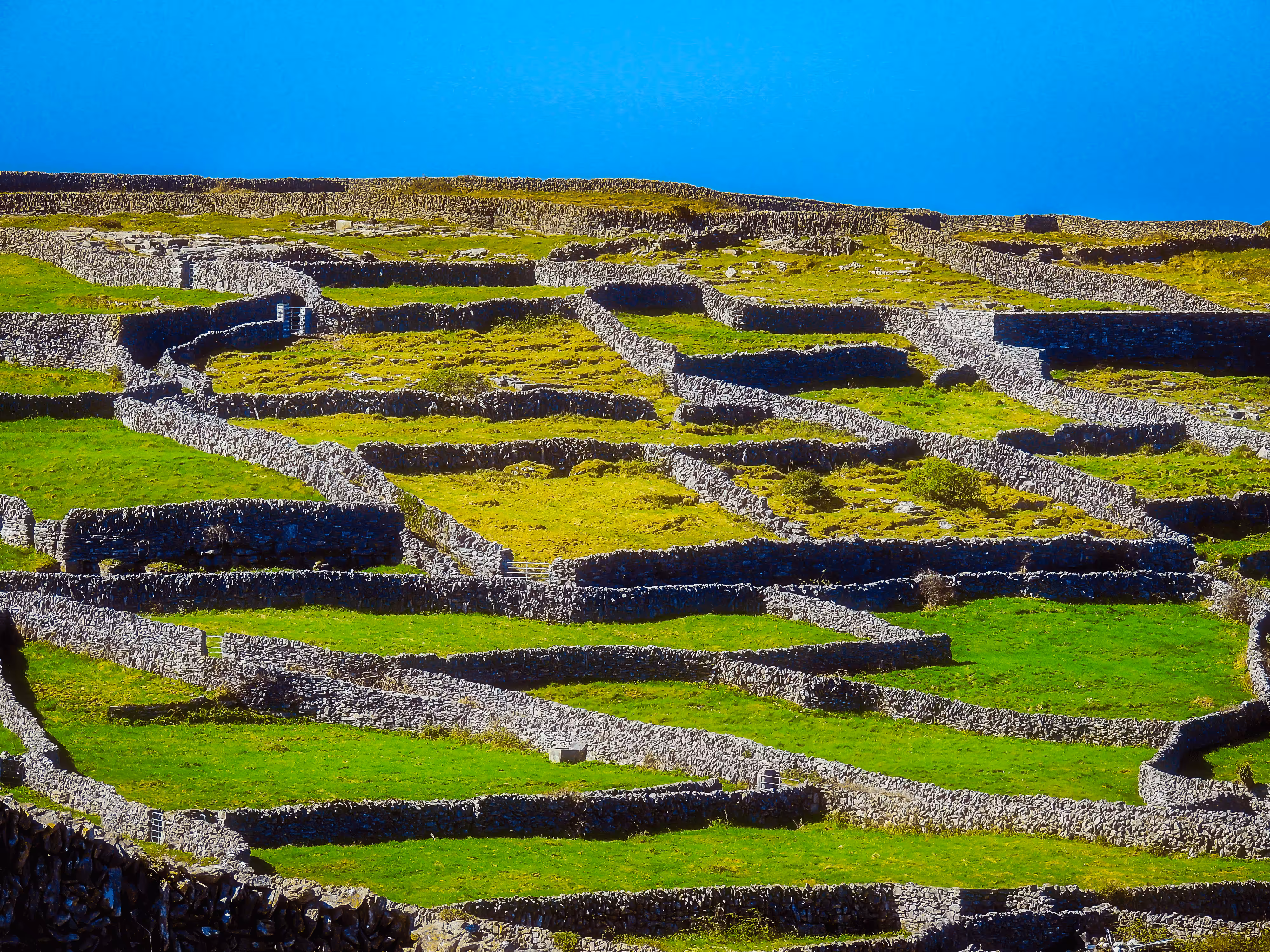 Criss-crossed Stone Walls of Inisheer, Aran Islands