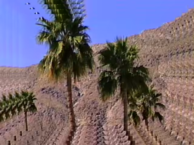 VHS ZoomScape 03