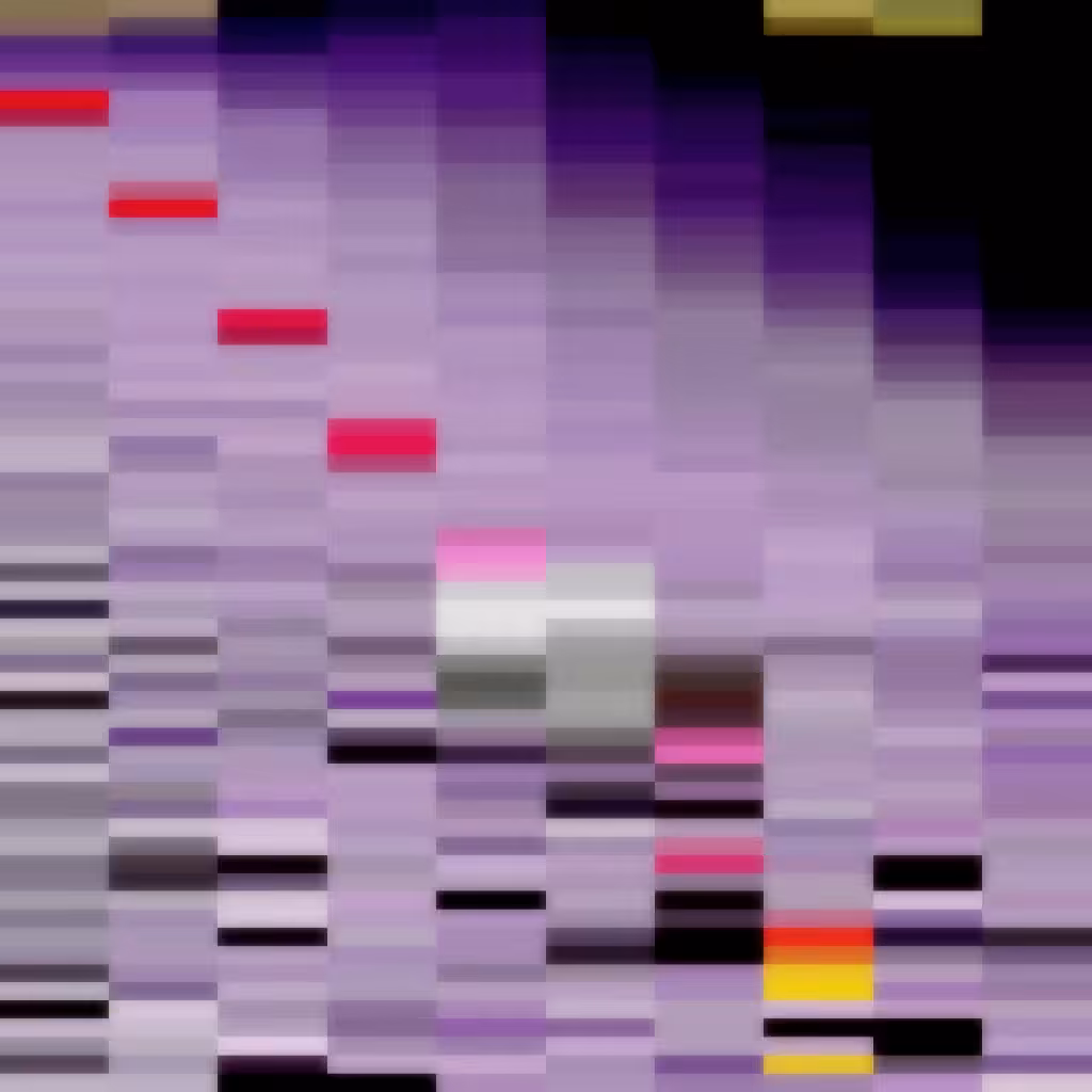 SQCNR #007 - CC