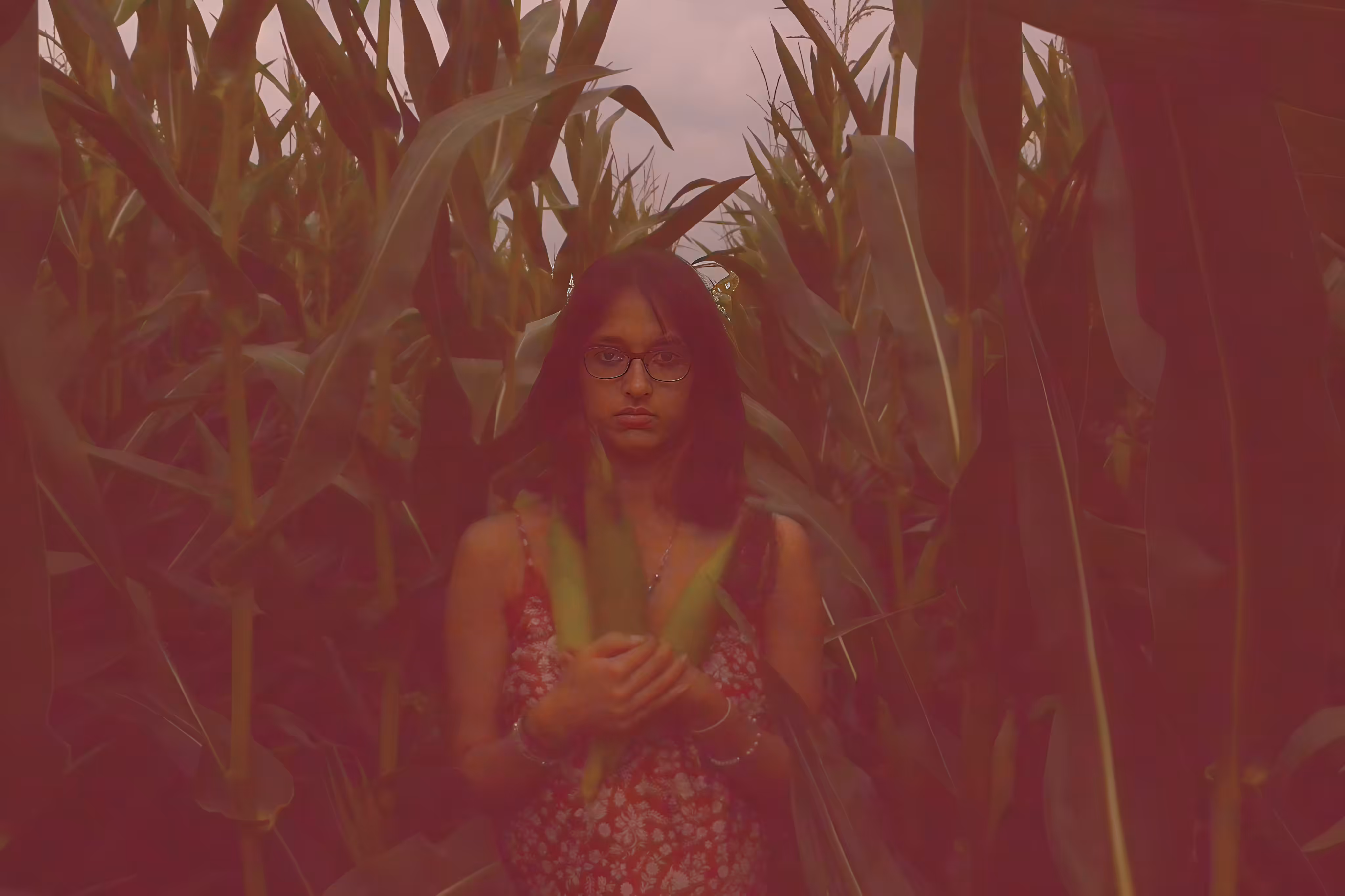 Last Harvest