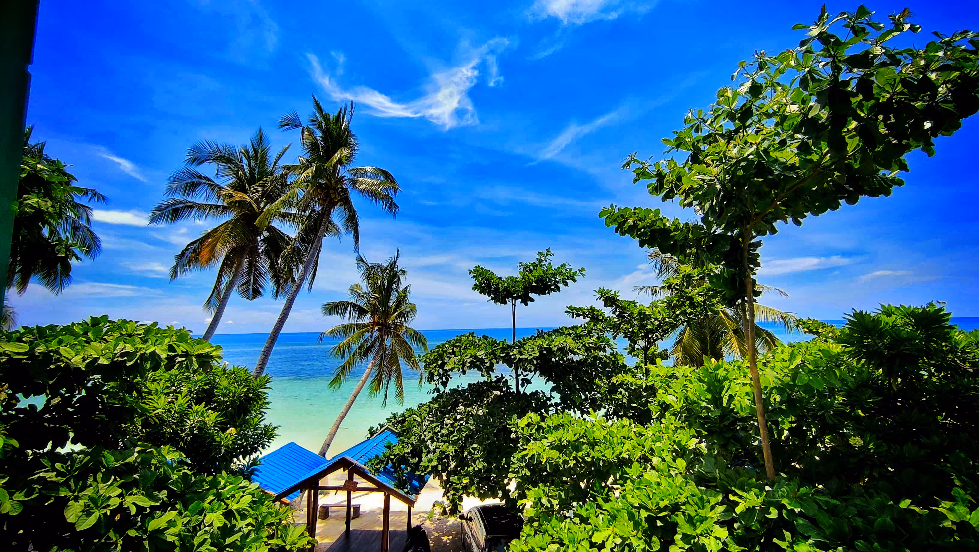 Framed by Paradise