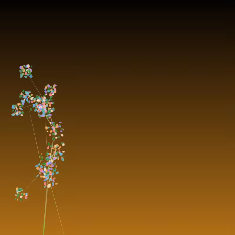 Fractabre - Zoom fractal #3
