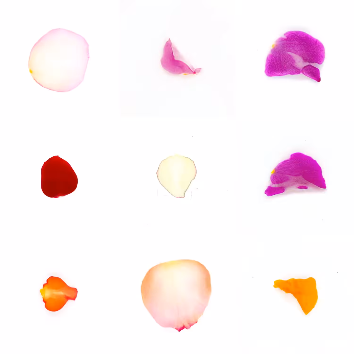 Infinite Petals 3x3#3173
