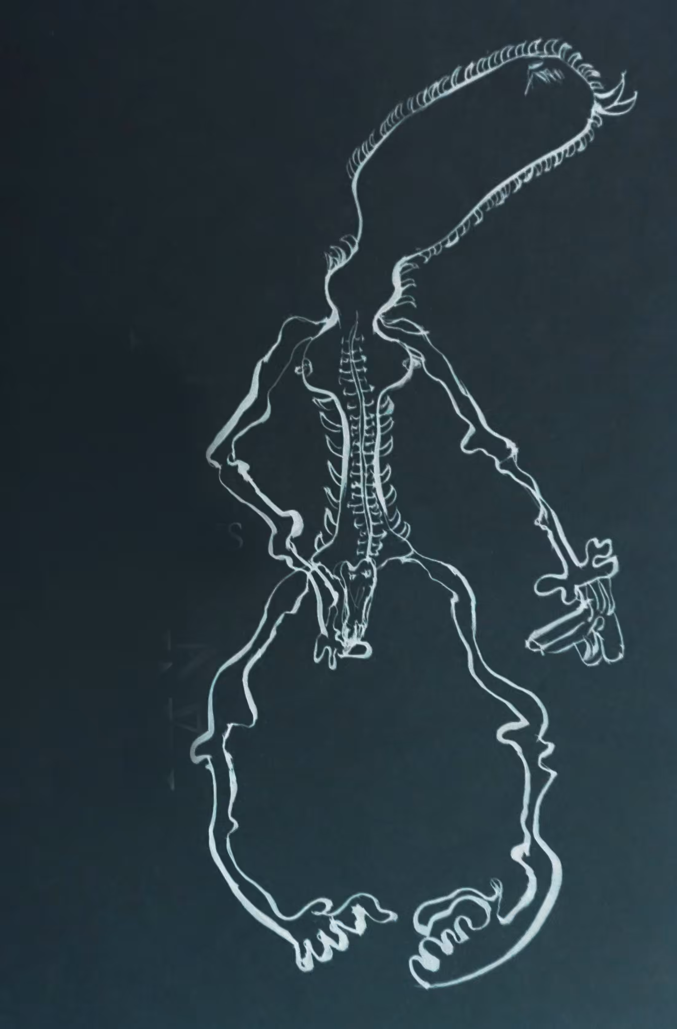 #drawing 15
