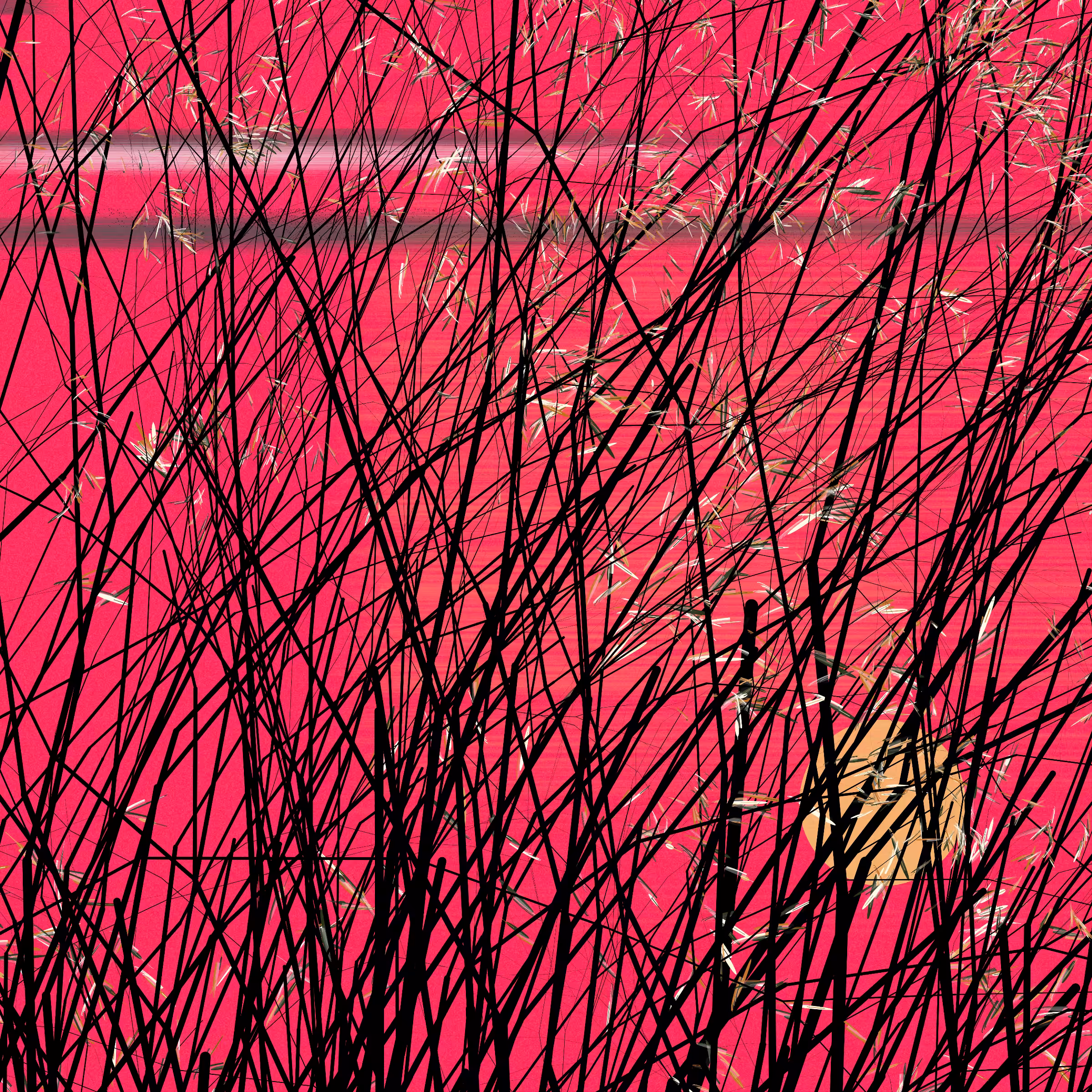 conversation with the wind #5