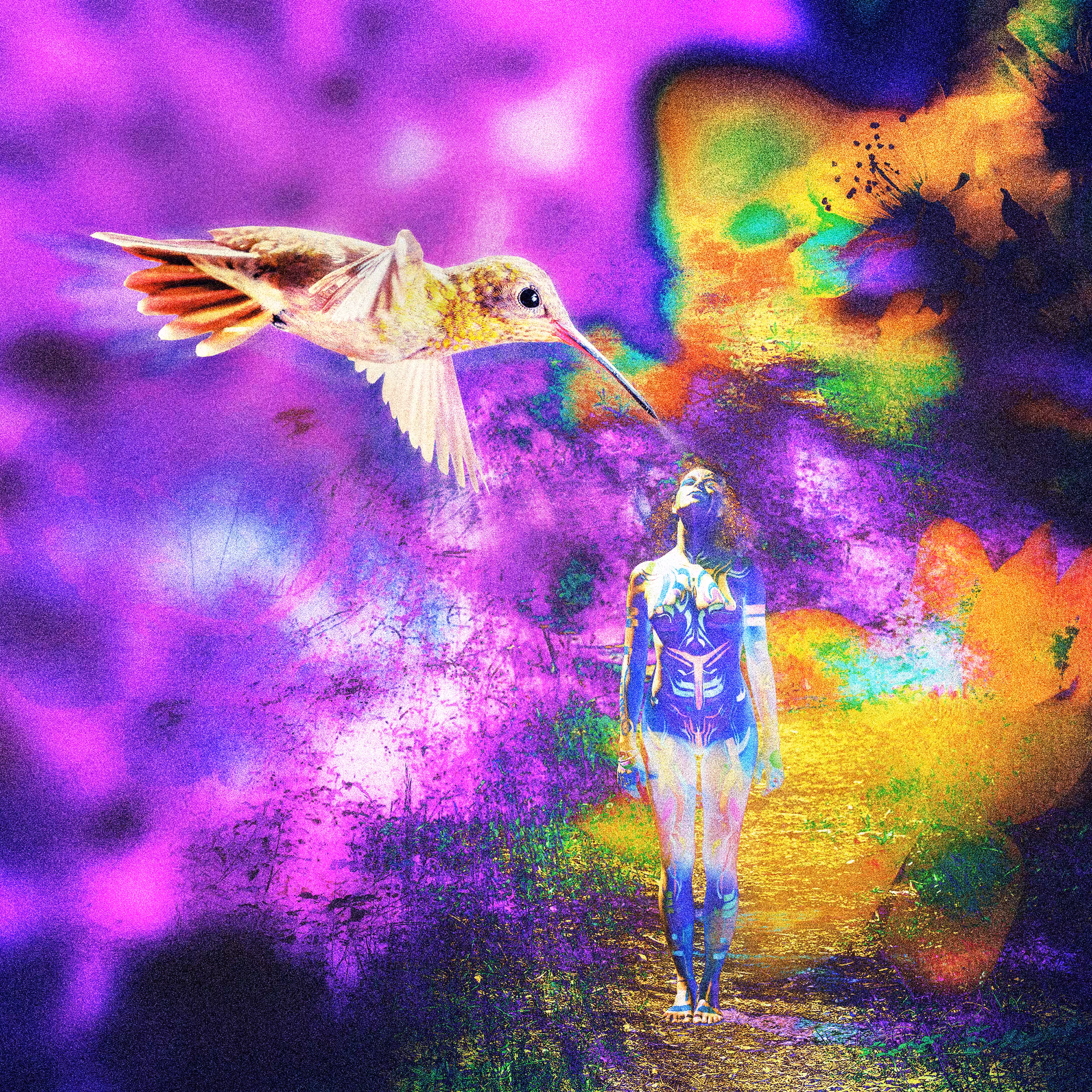 TTT 009 Hummingbird Kiss