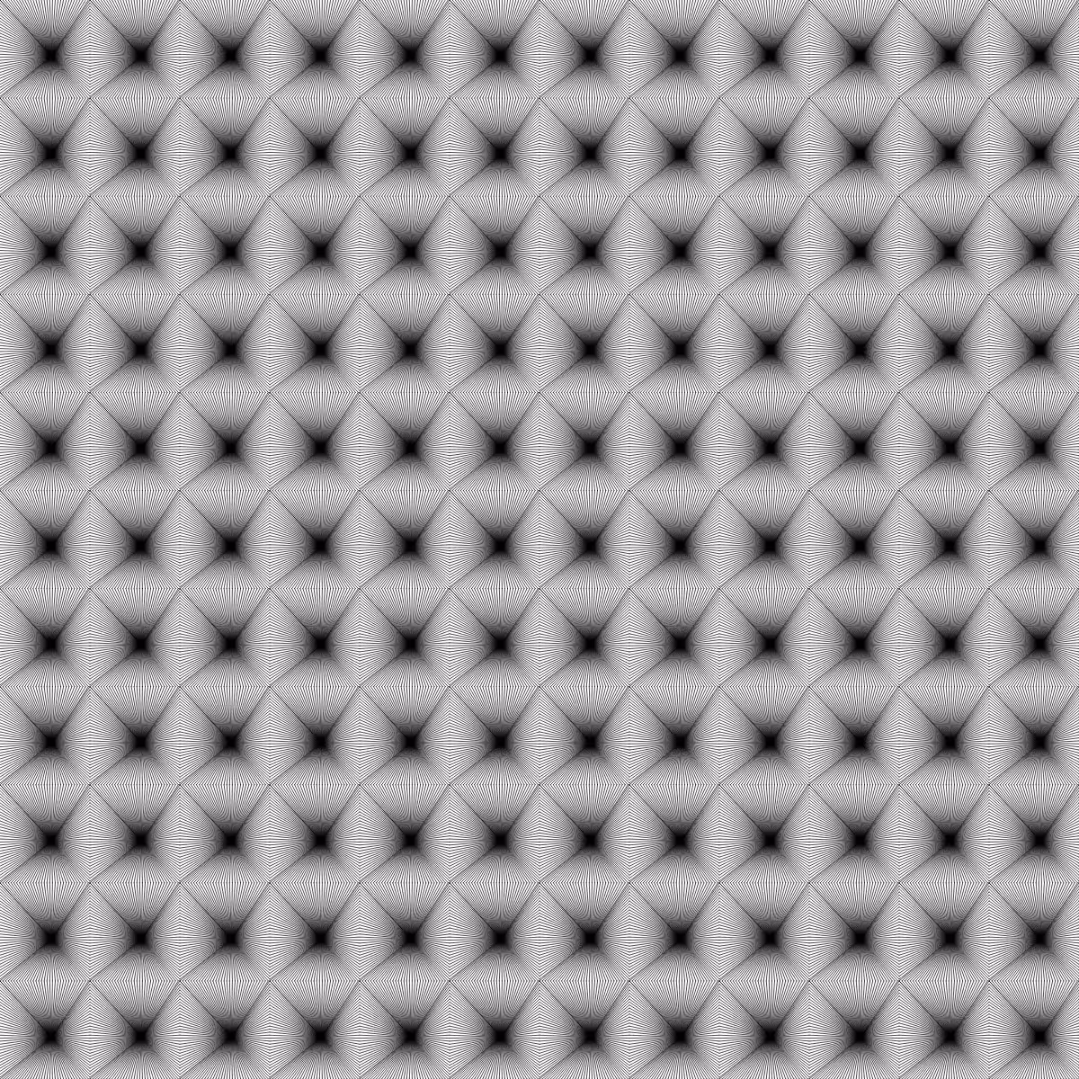 Noir et Blanc #166