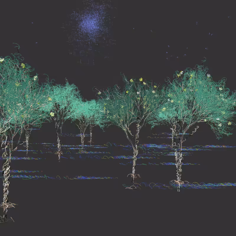 Black winter forest #16