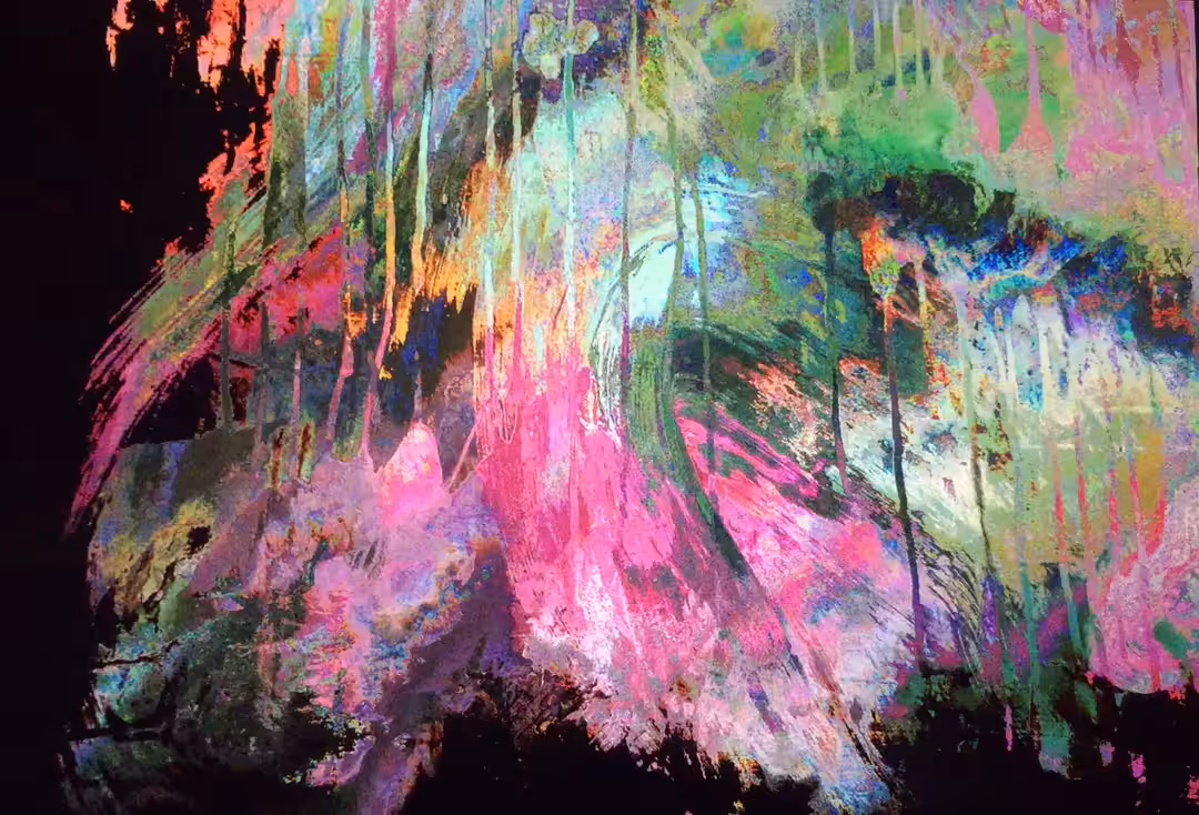 short break in rainforest, series, part #2