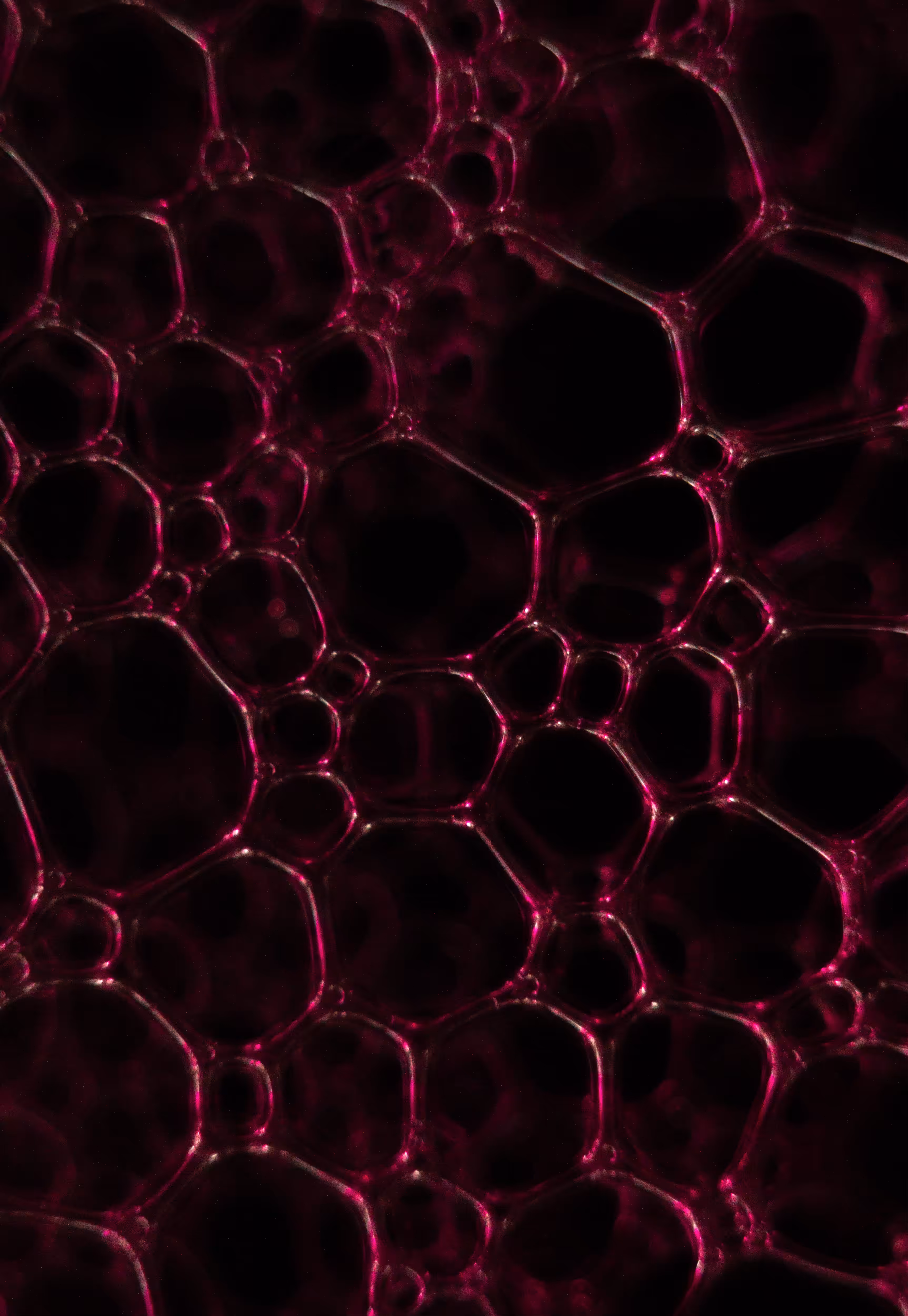 Abstract World of Soap Bubbles: #49 Bubbles