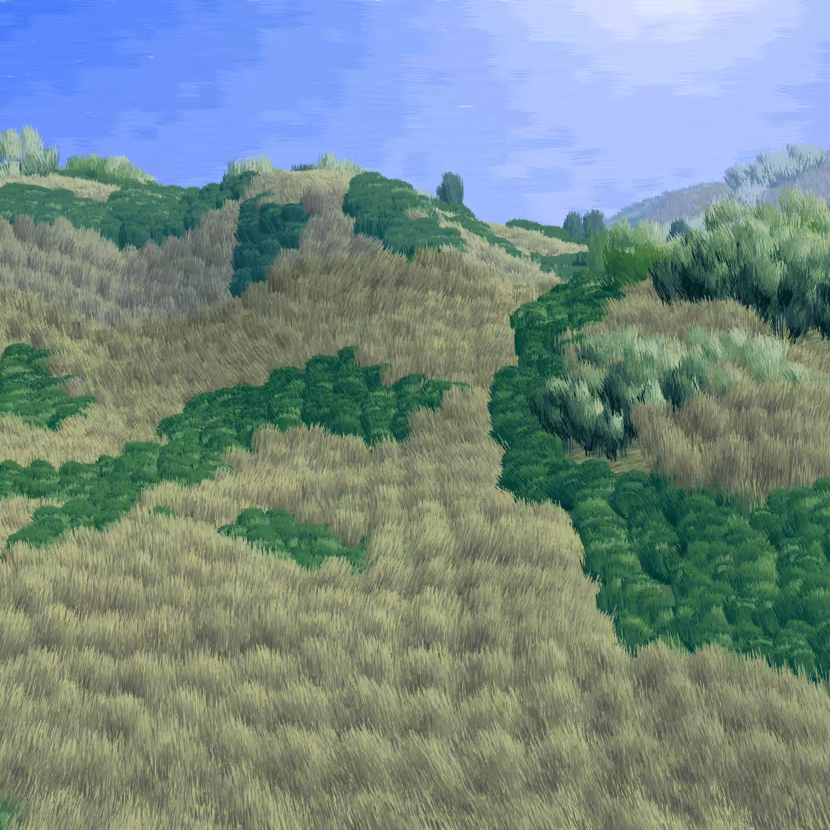 Provence #239