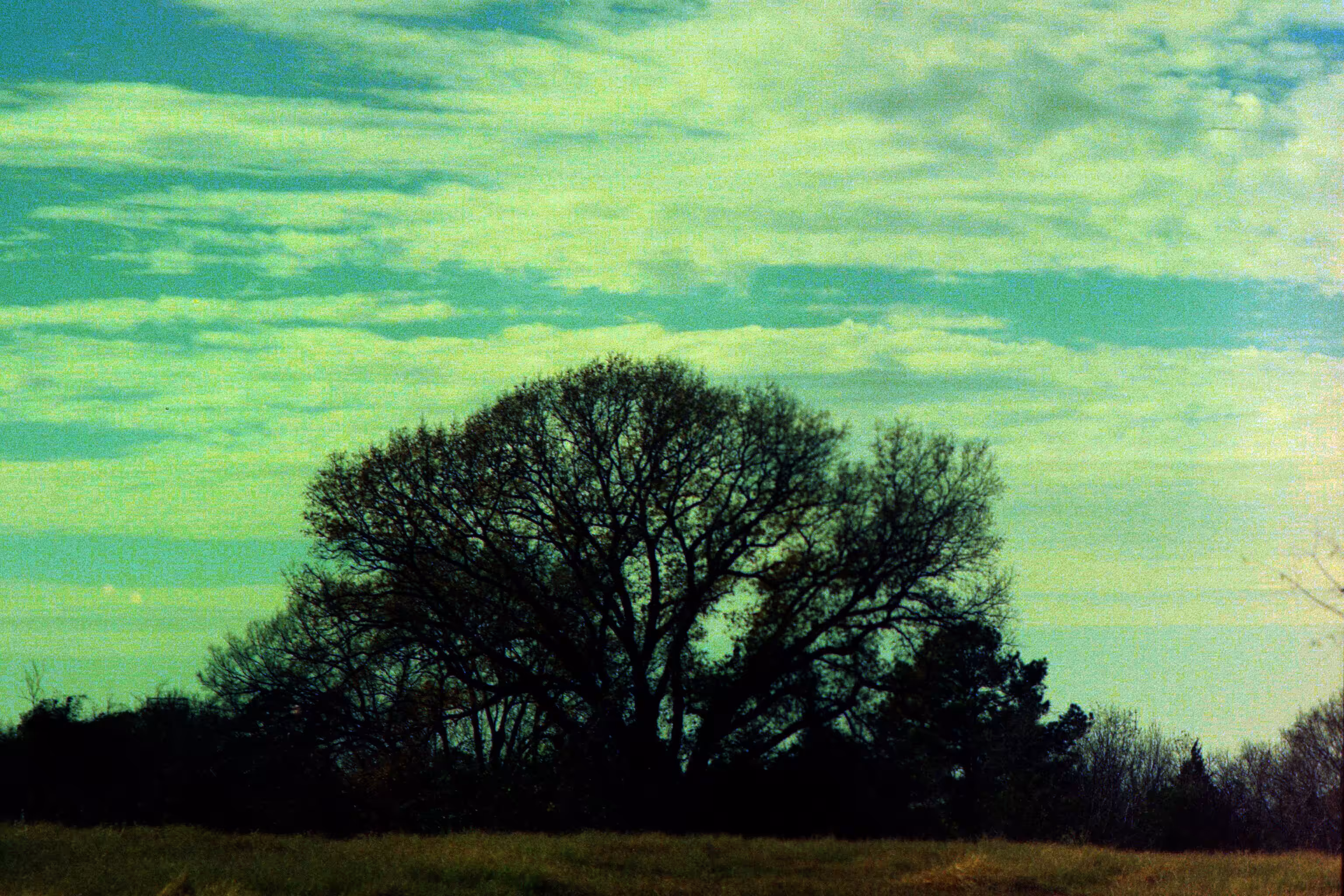 Emerald Silence
