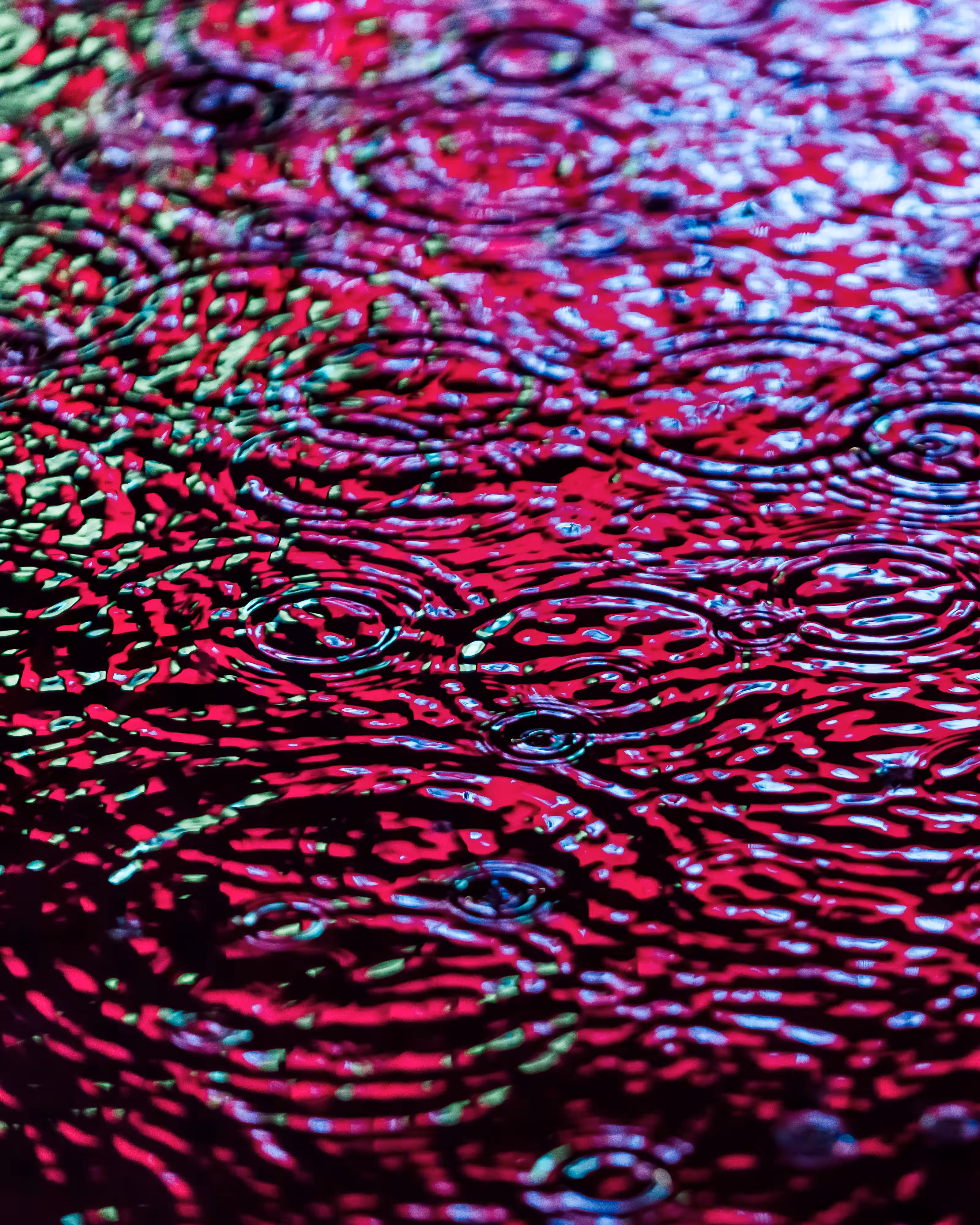 DRIP DROP: DRIP #95