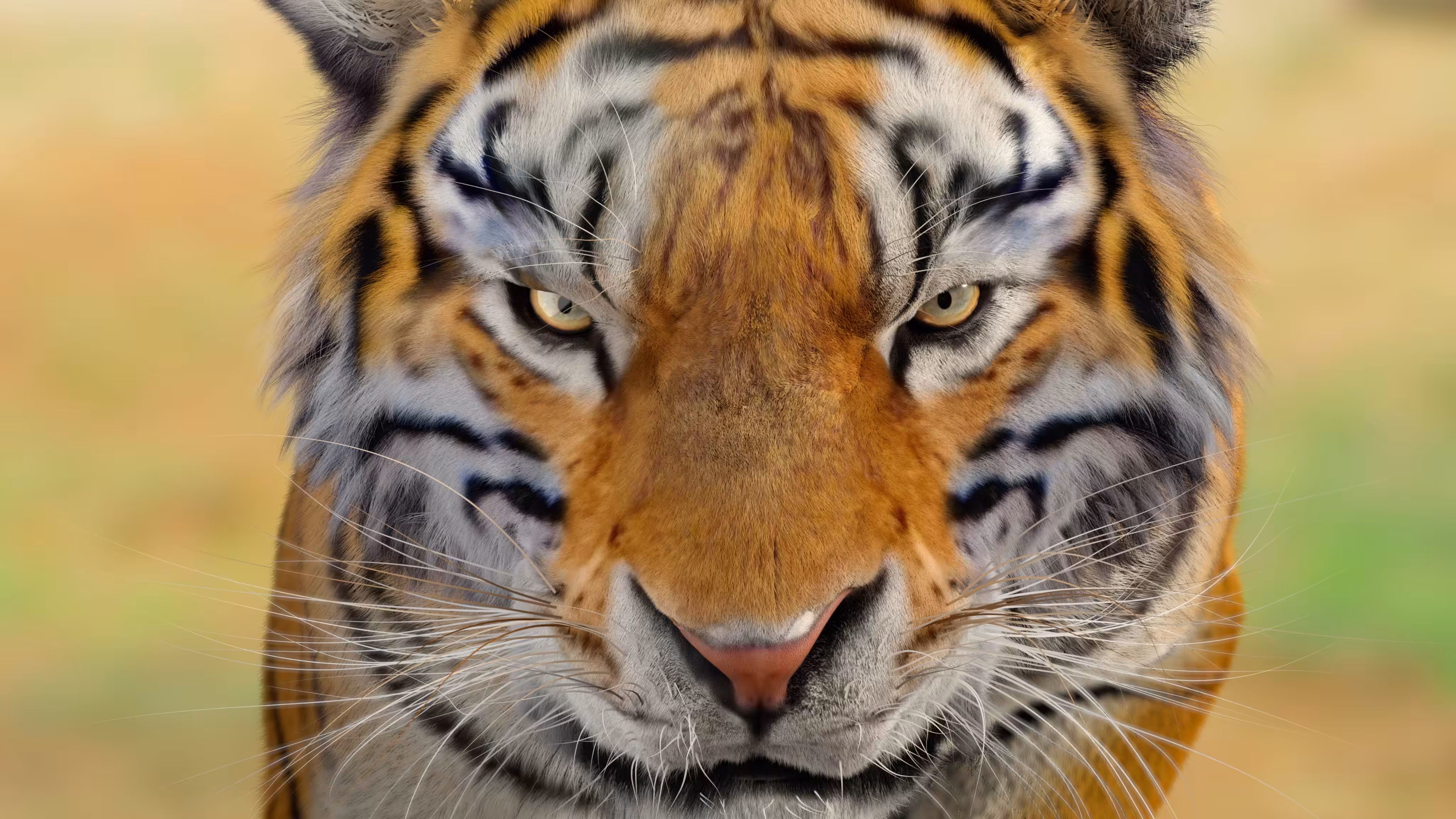 Zealously Eyes