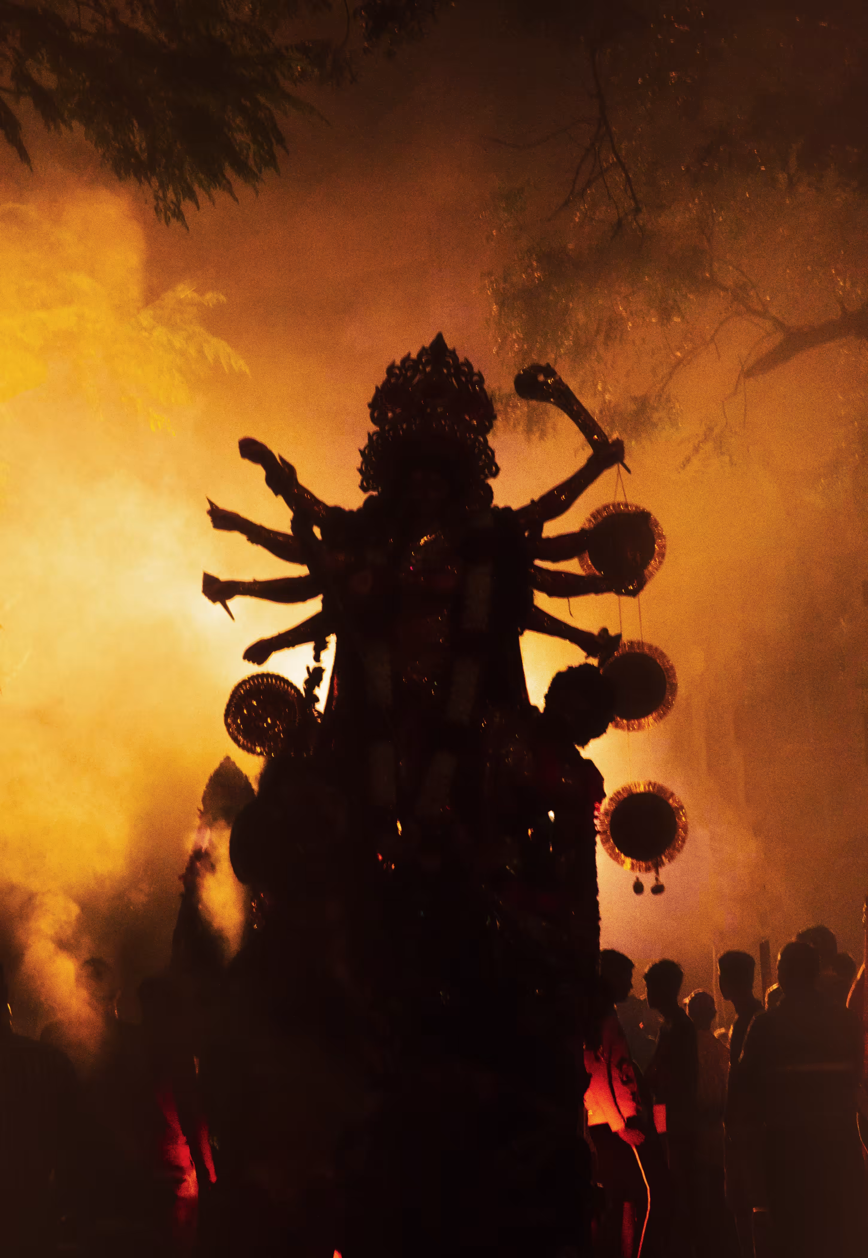 Maa