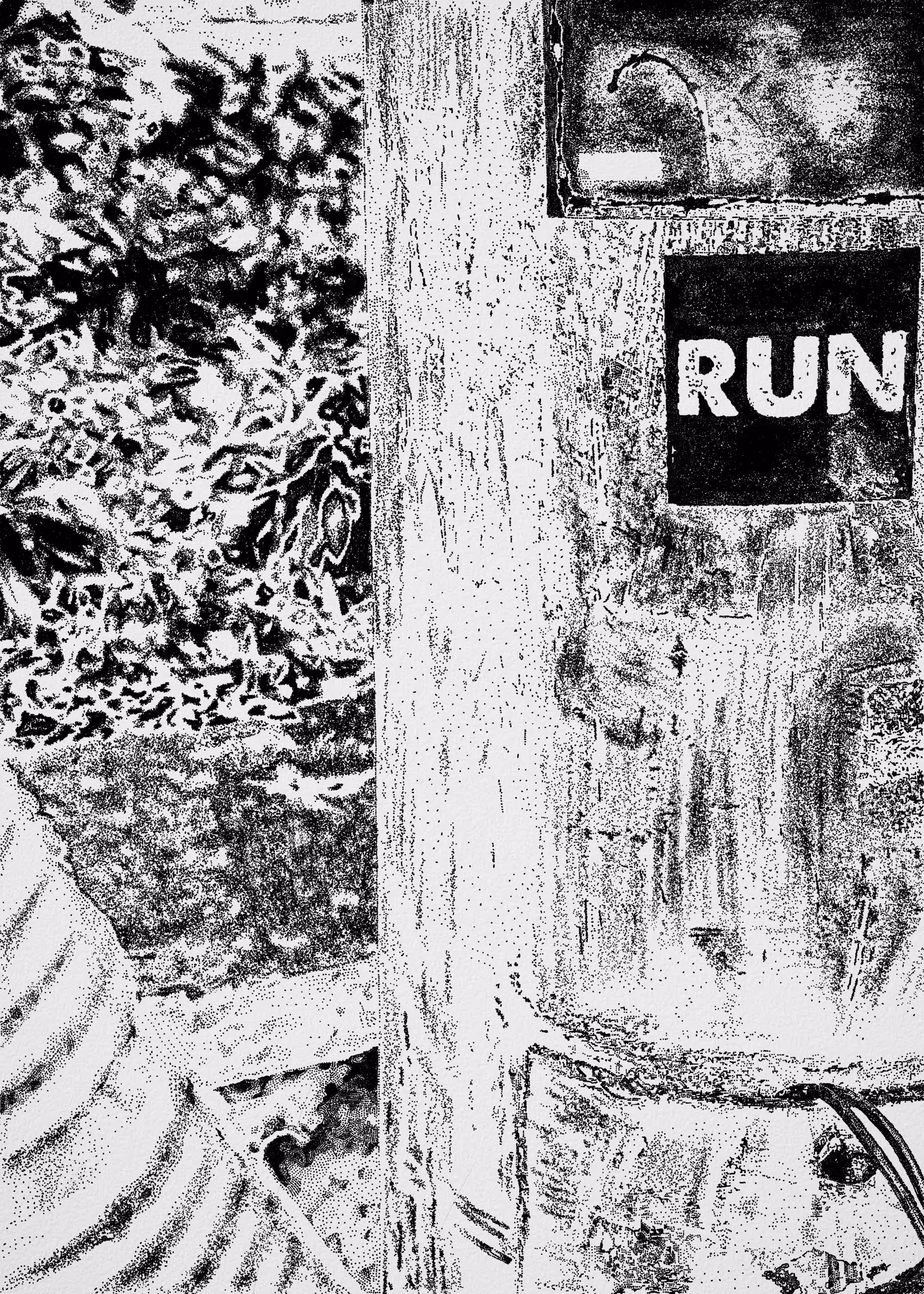 [ RUN ]