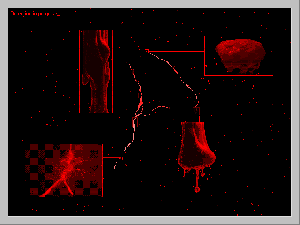 Deep Scanner 2995