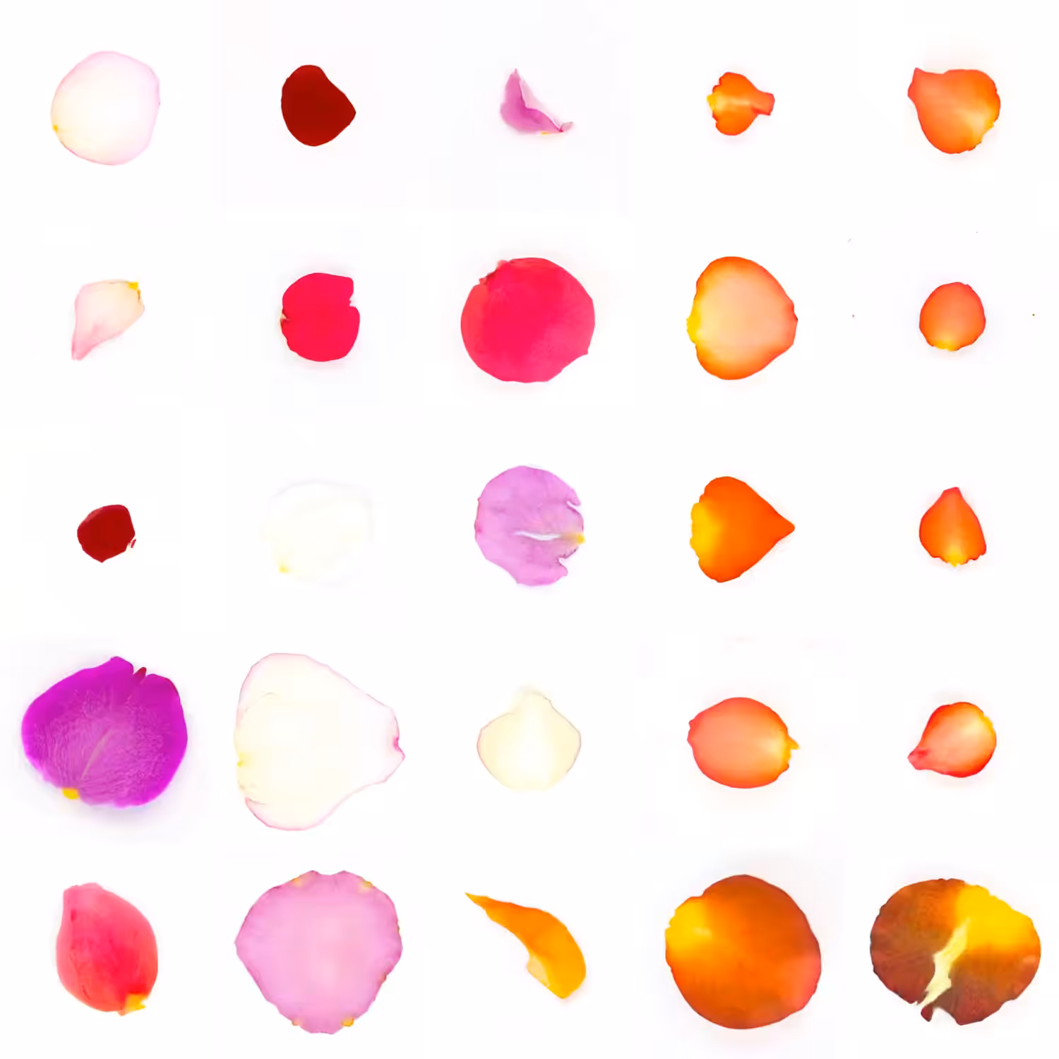Infinite Petals 5x5#2830