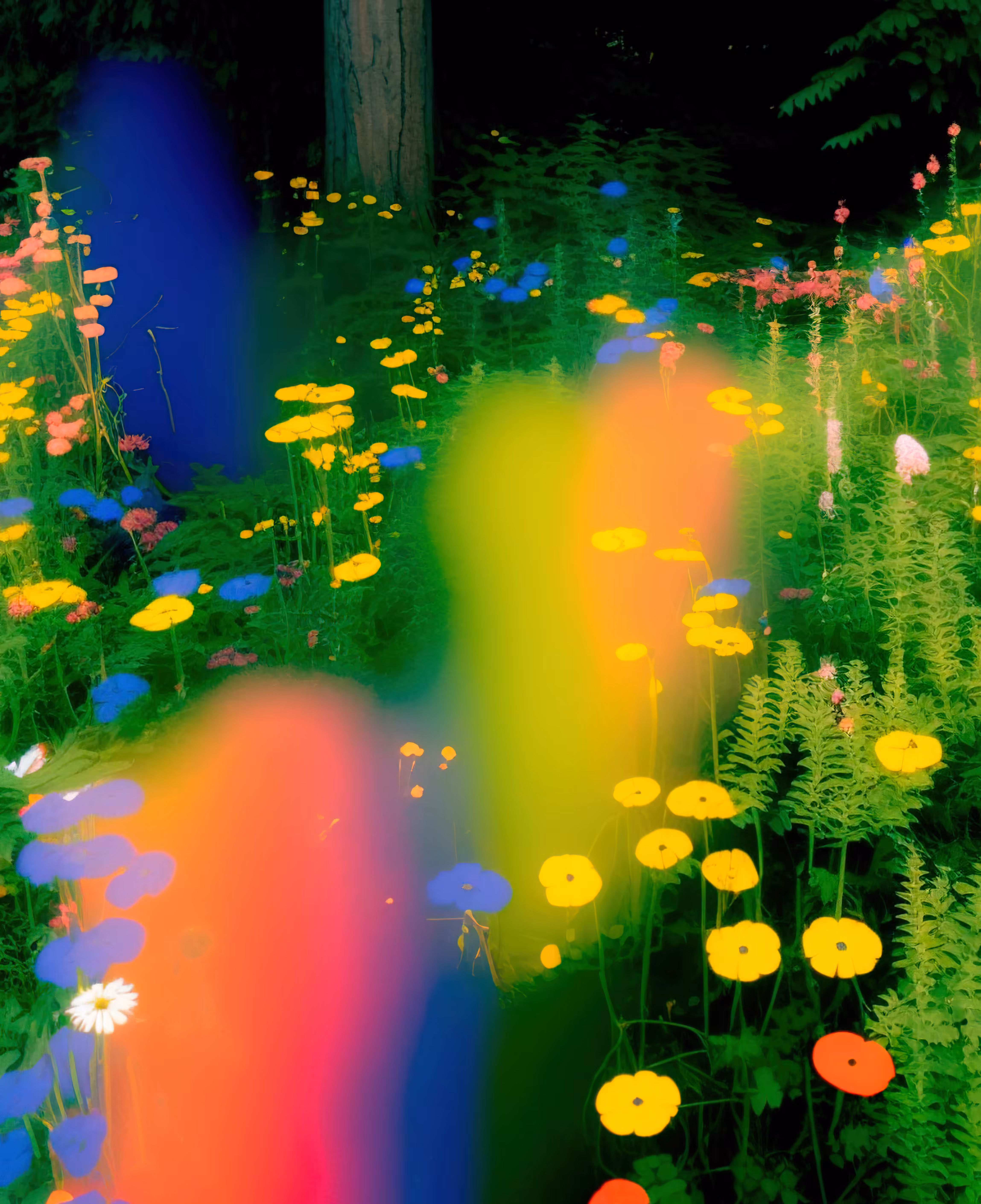 Nature's Prism