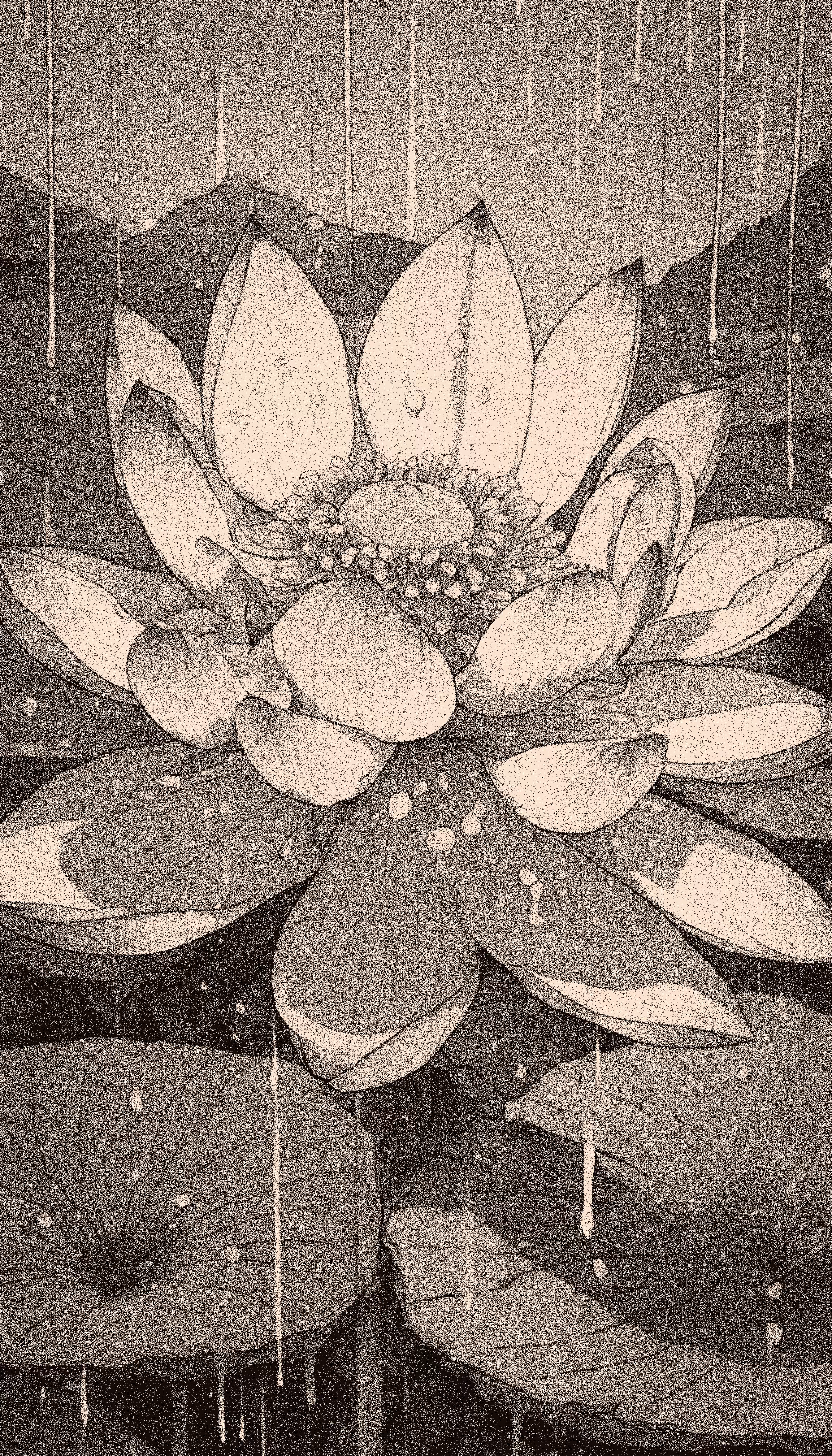 Lotus Flower
