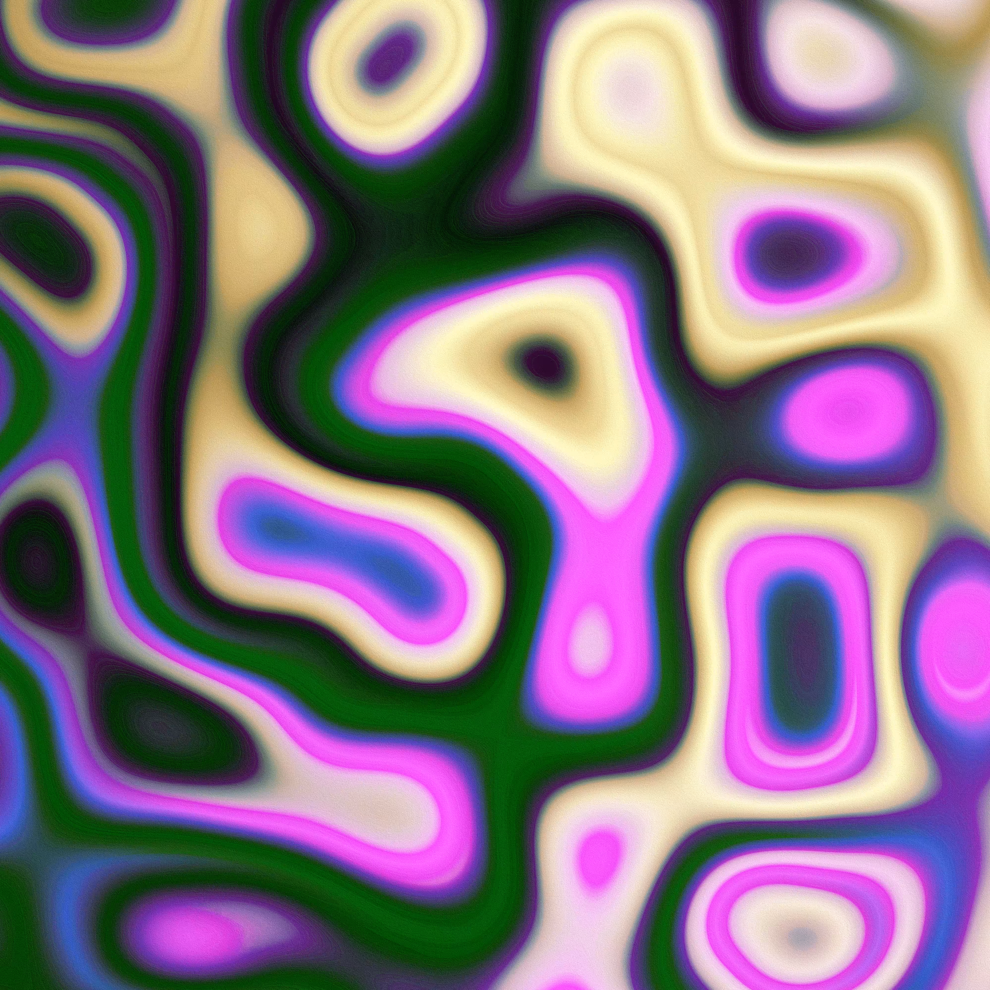               224