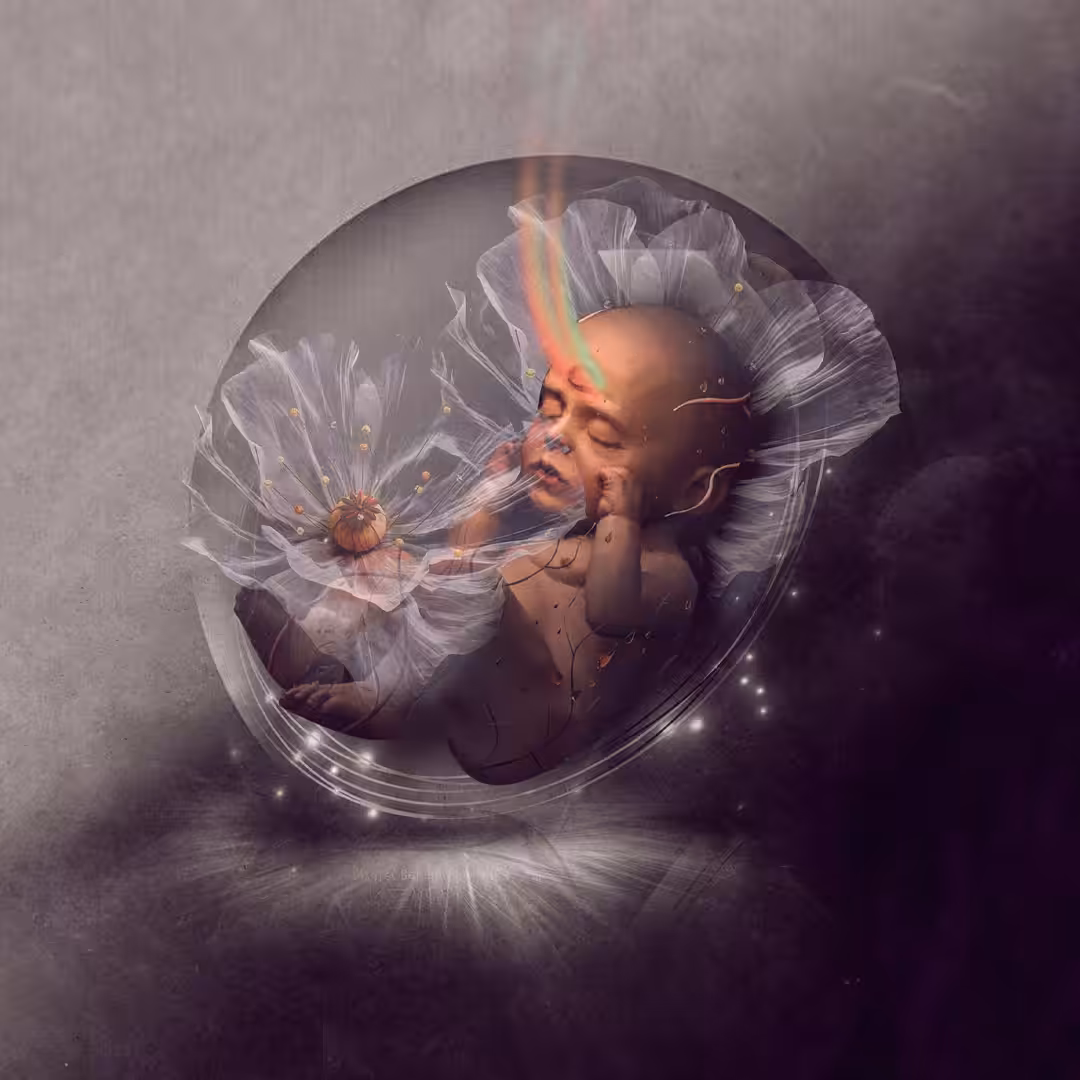 Accidental baby
