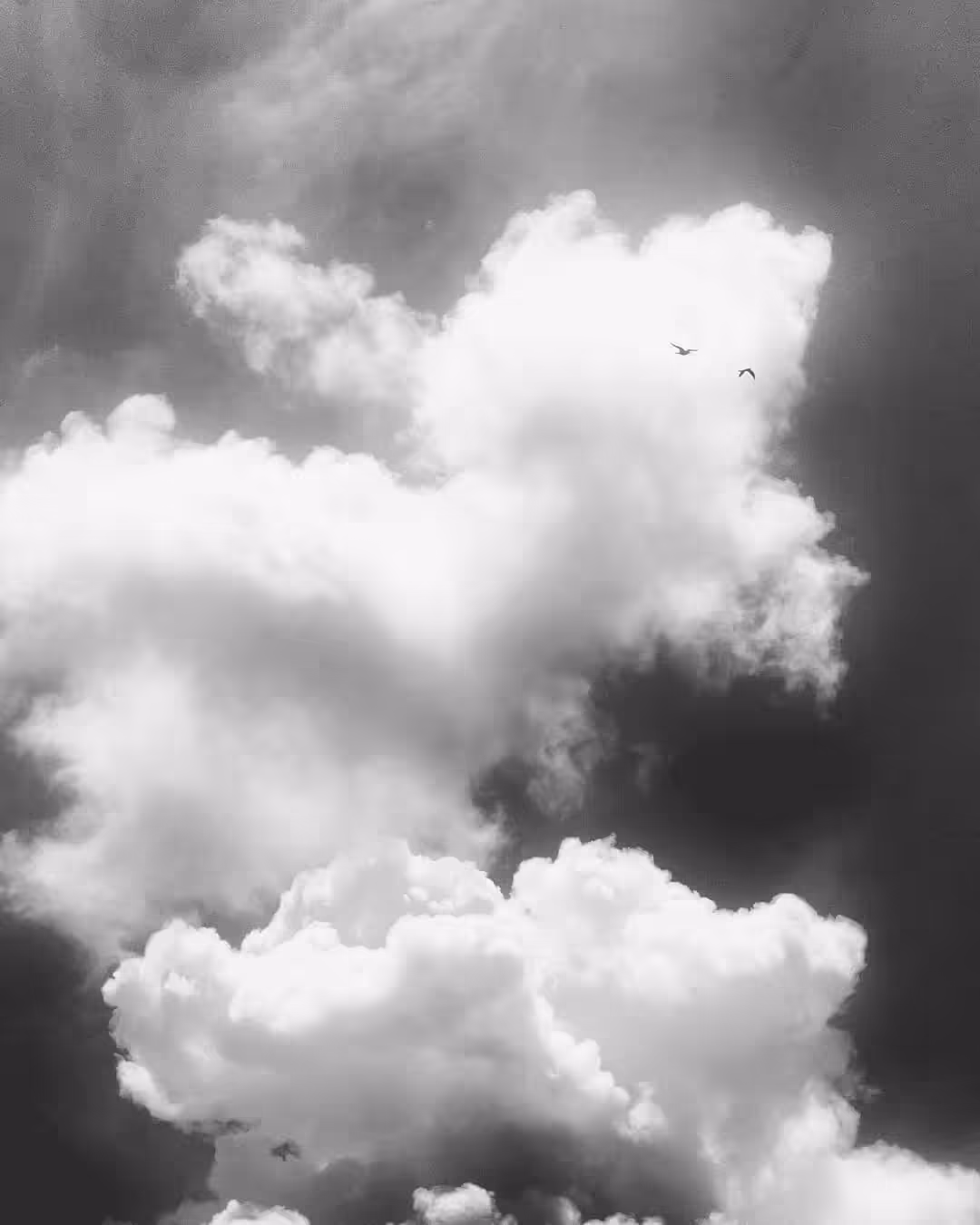 Fly High