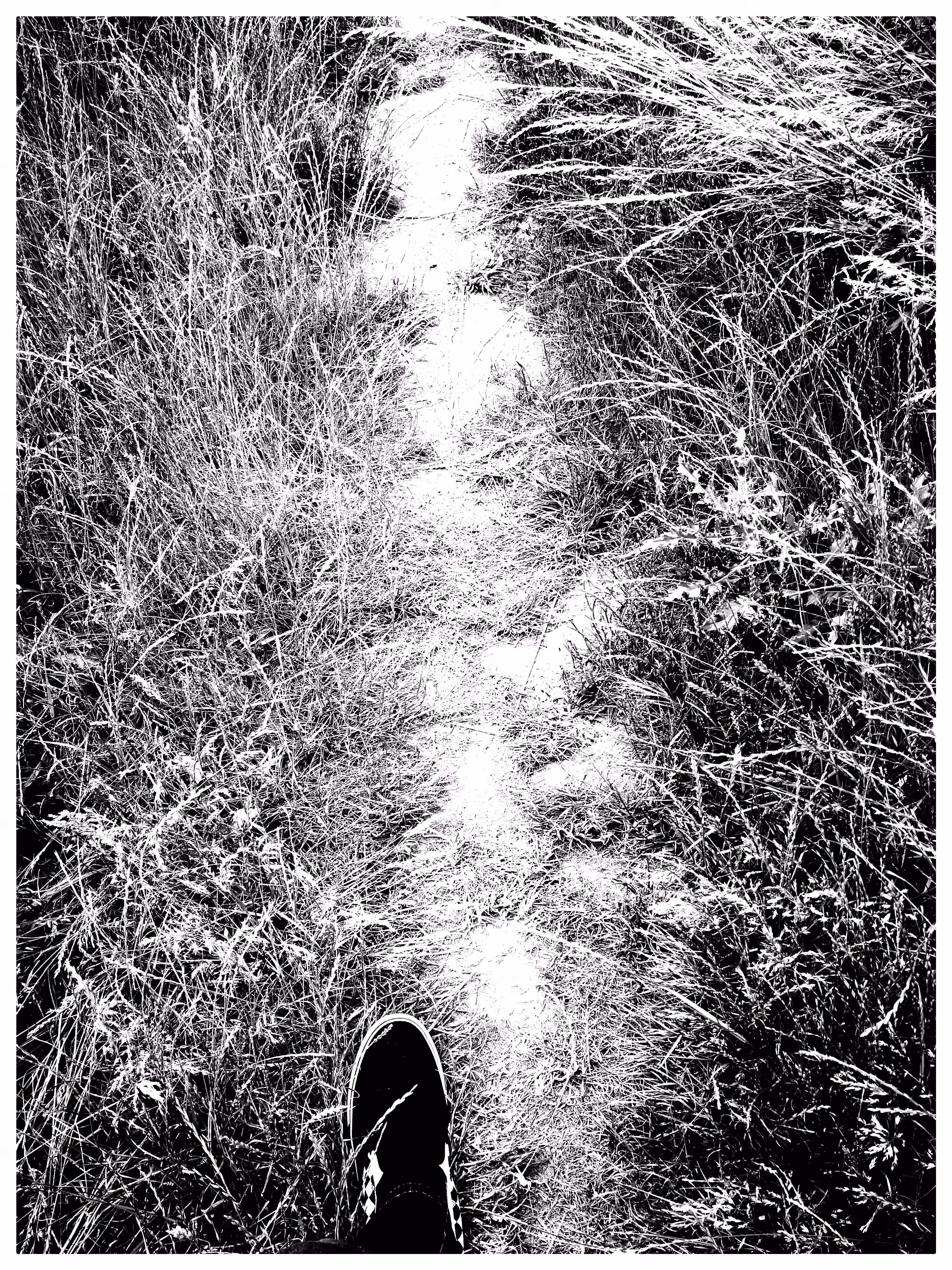 One Step at a Time