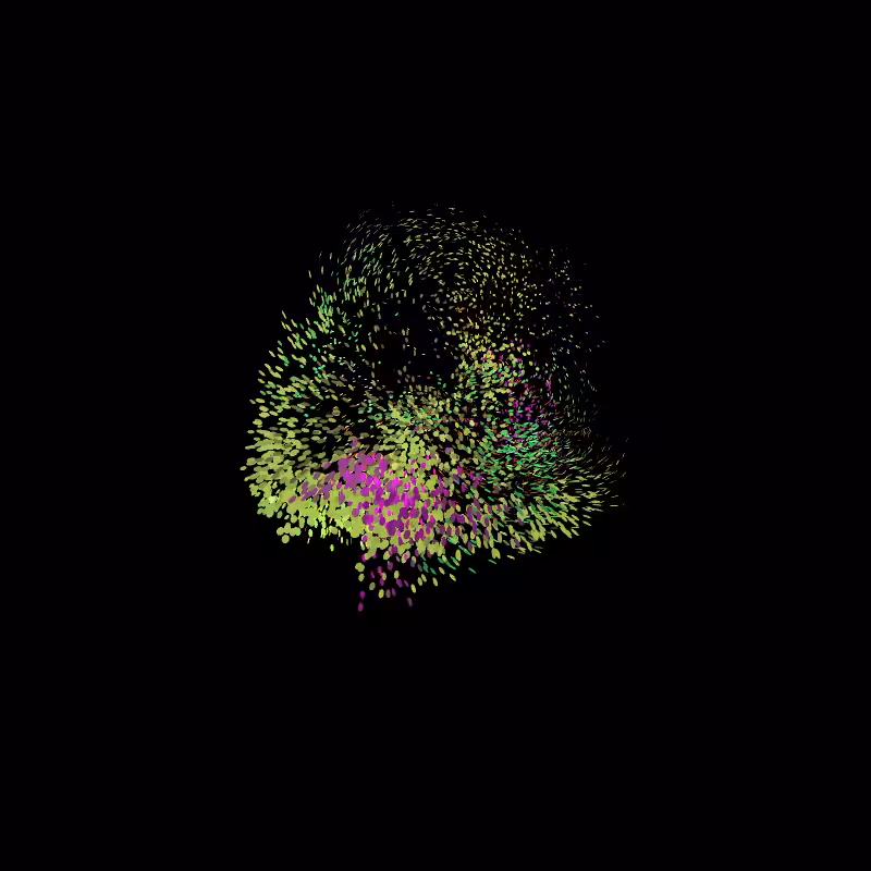 Murmuration #109