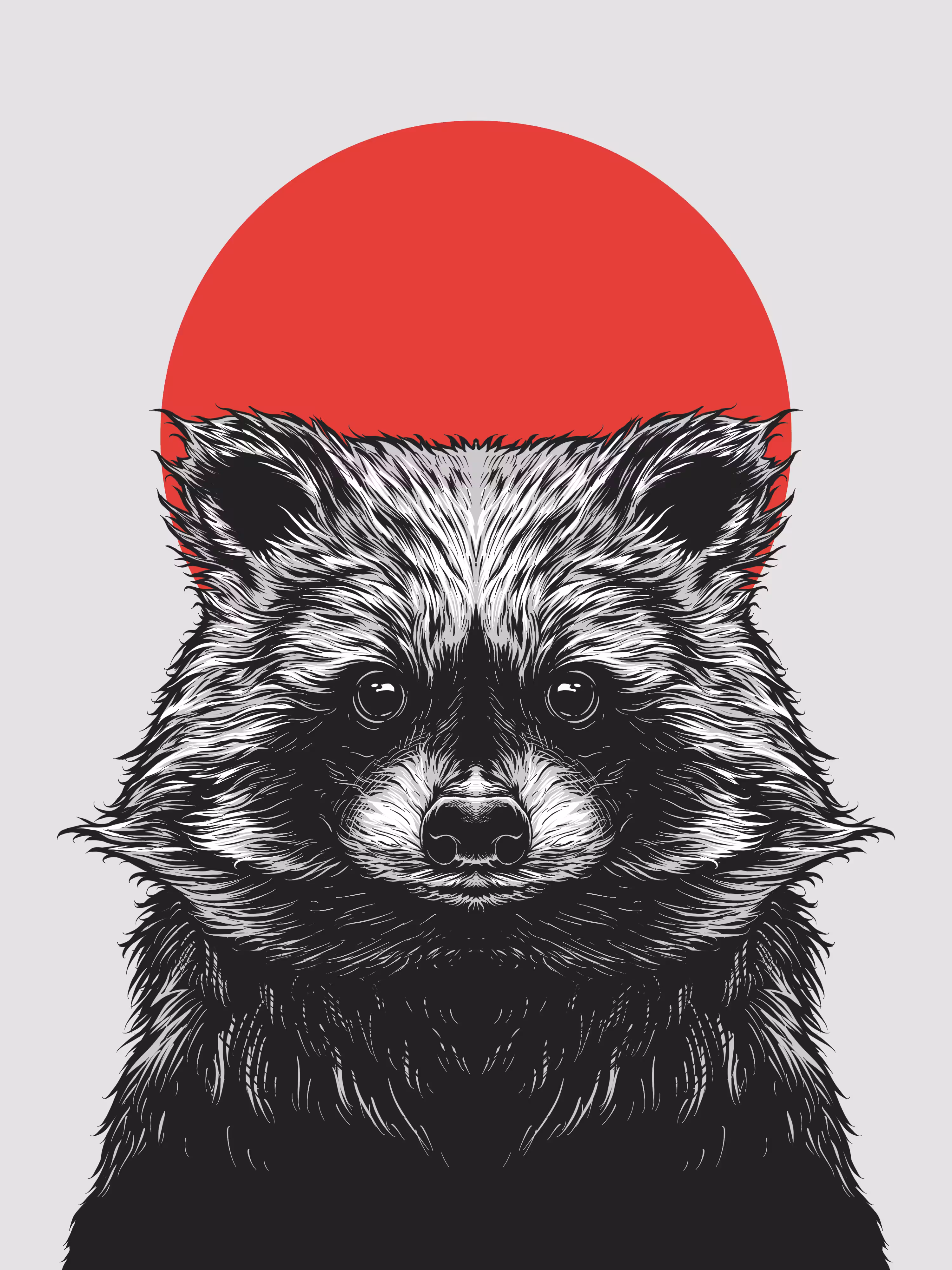 Rakun