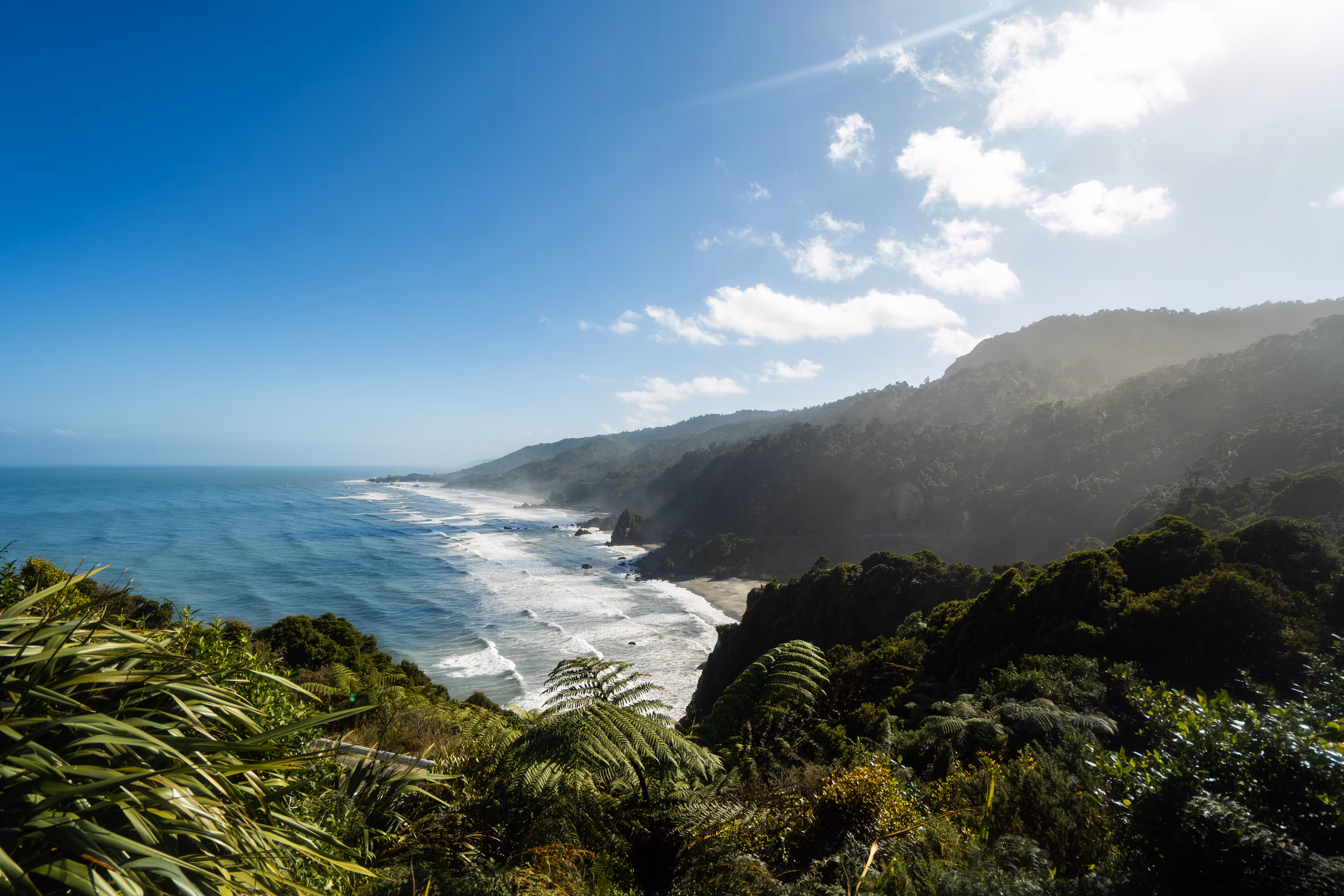 Punakaiki_Toru
