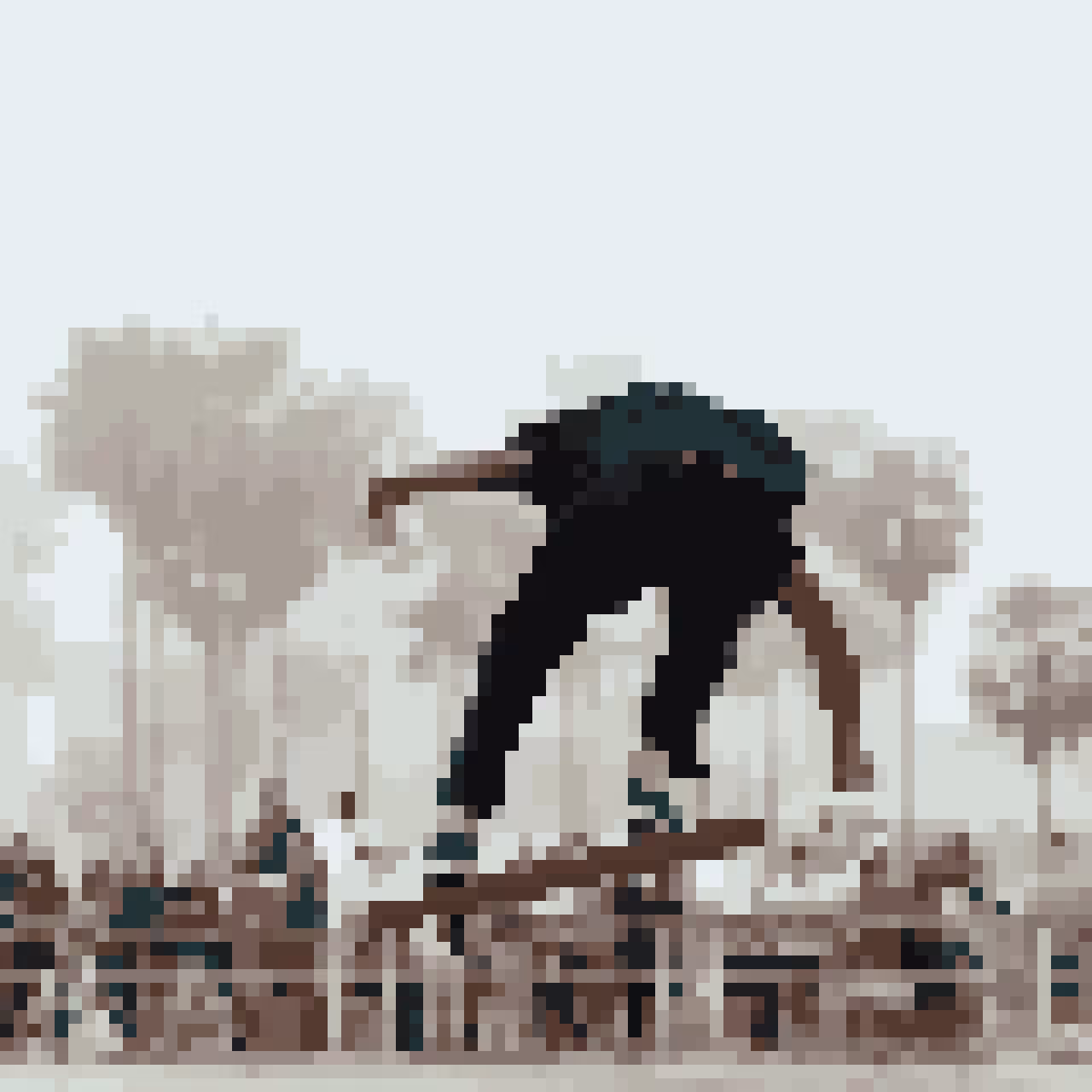 low-fidelity: lo-fi 0114