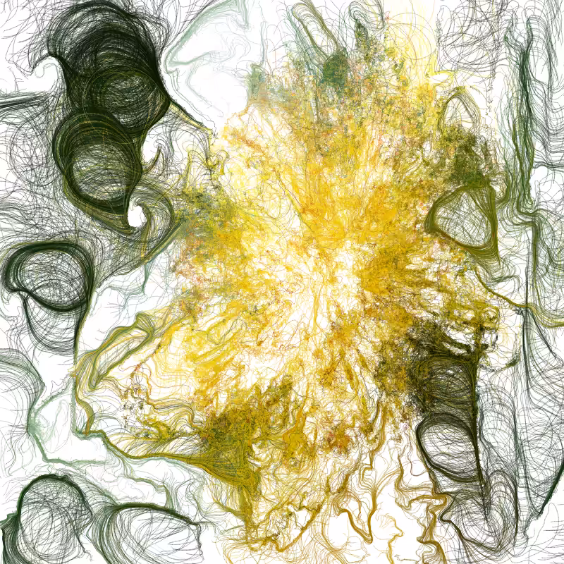 Hypericum #82