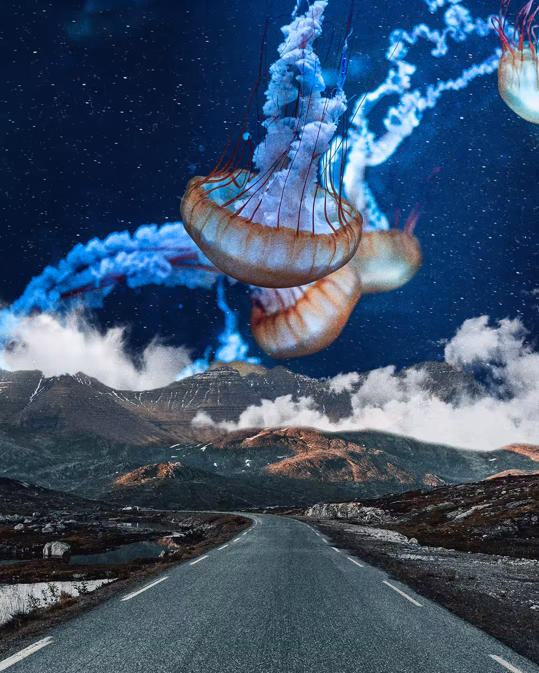 Jellyfish #2