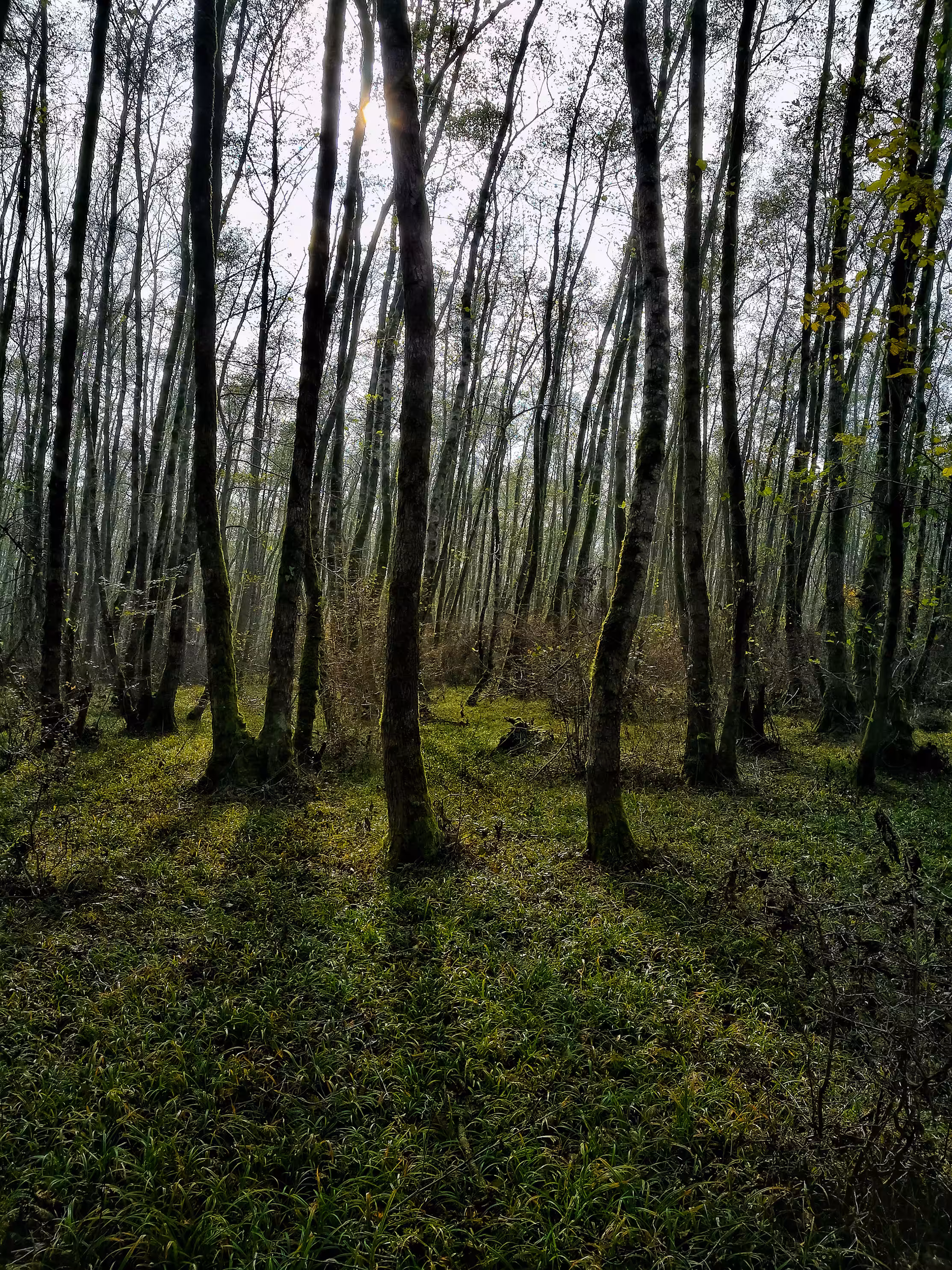 Silencio