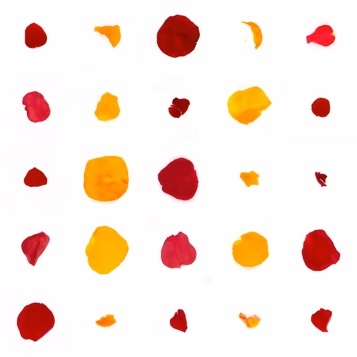 Infinite Petals 5x5#20308