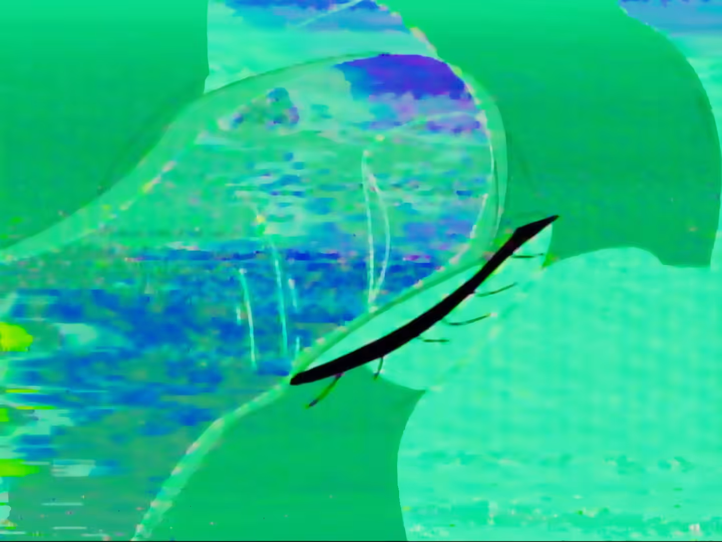 EYE BEAM