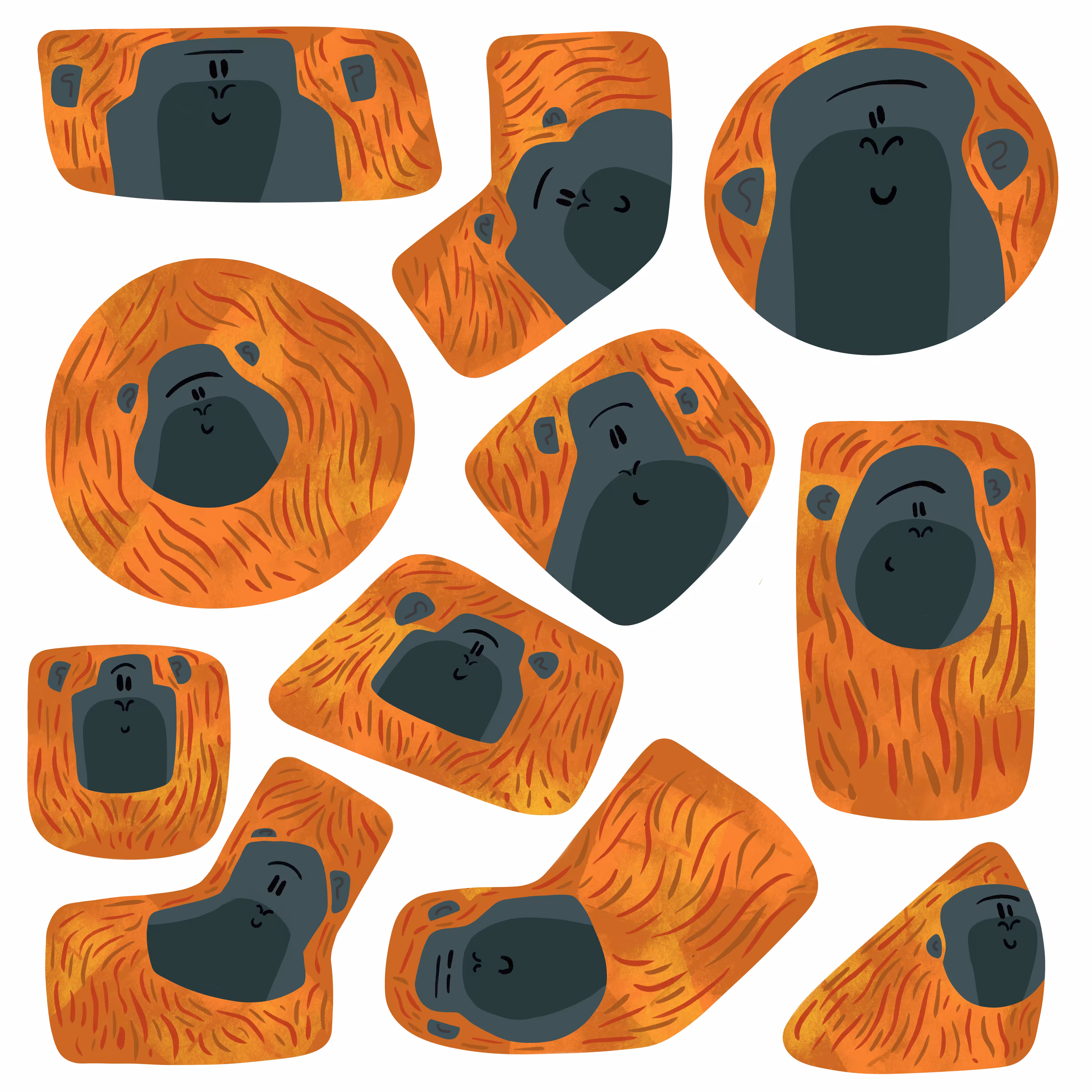 Just some Orangutans!!