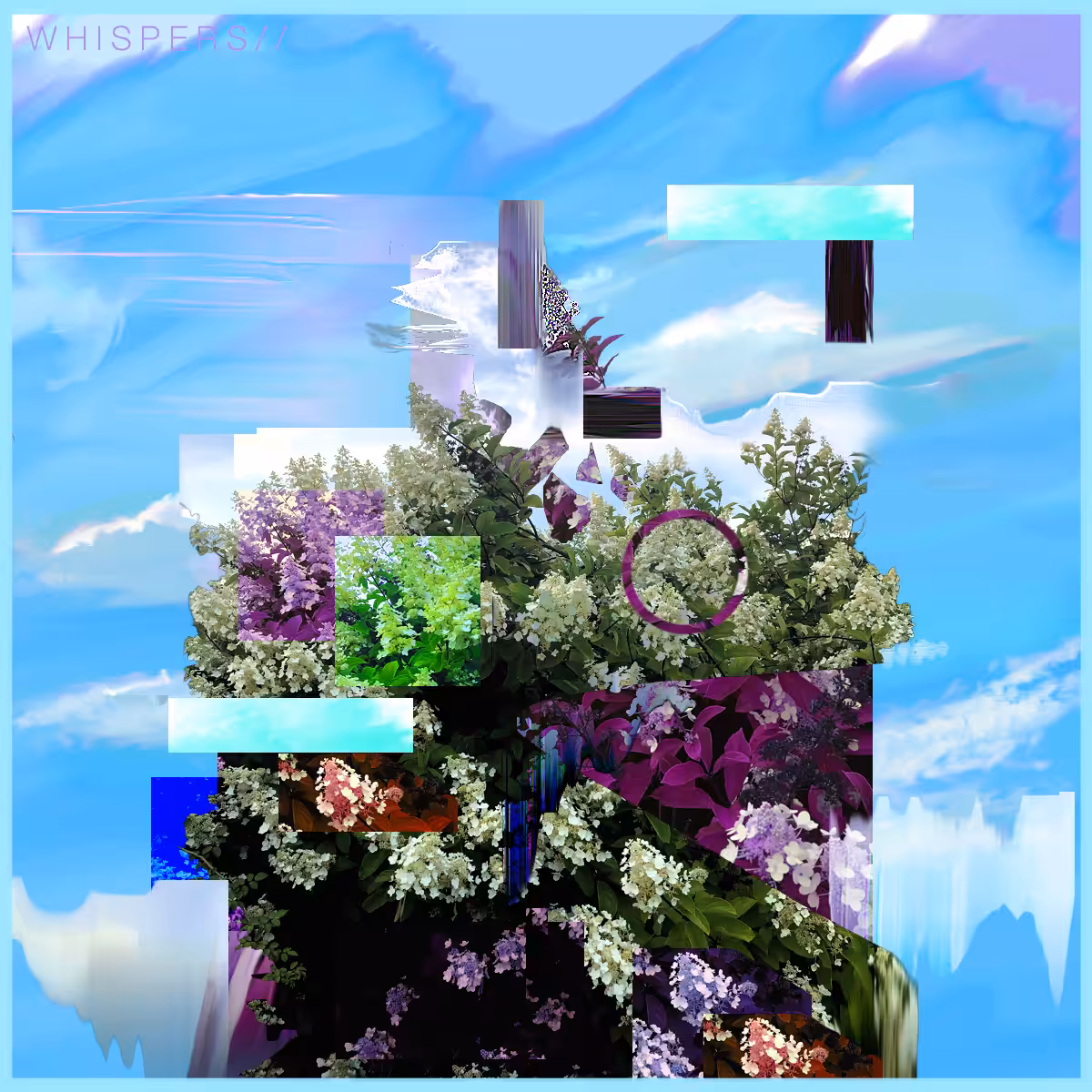 W H I S P E R S / /