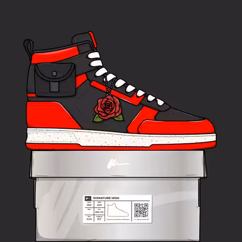 Signature Sneakers Highs #462